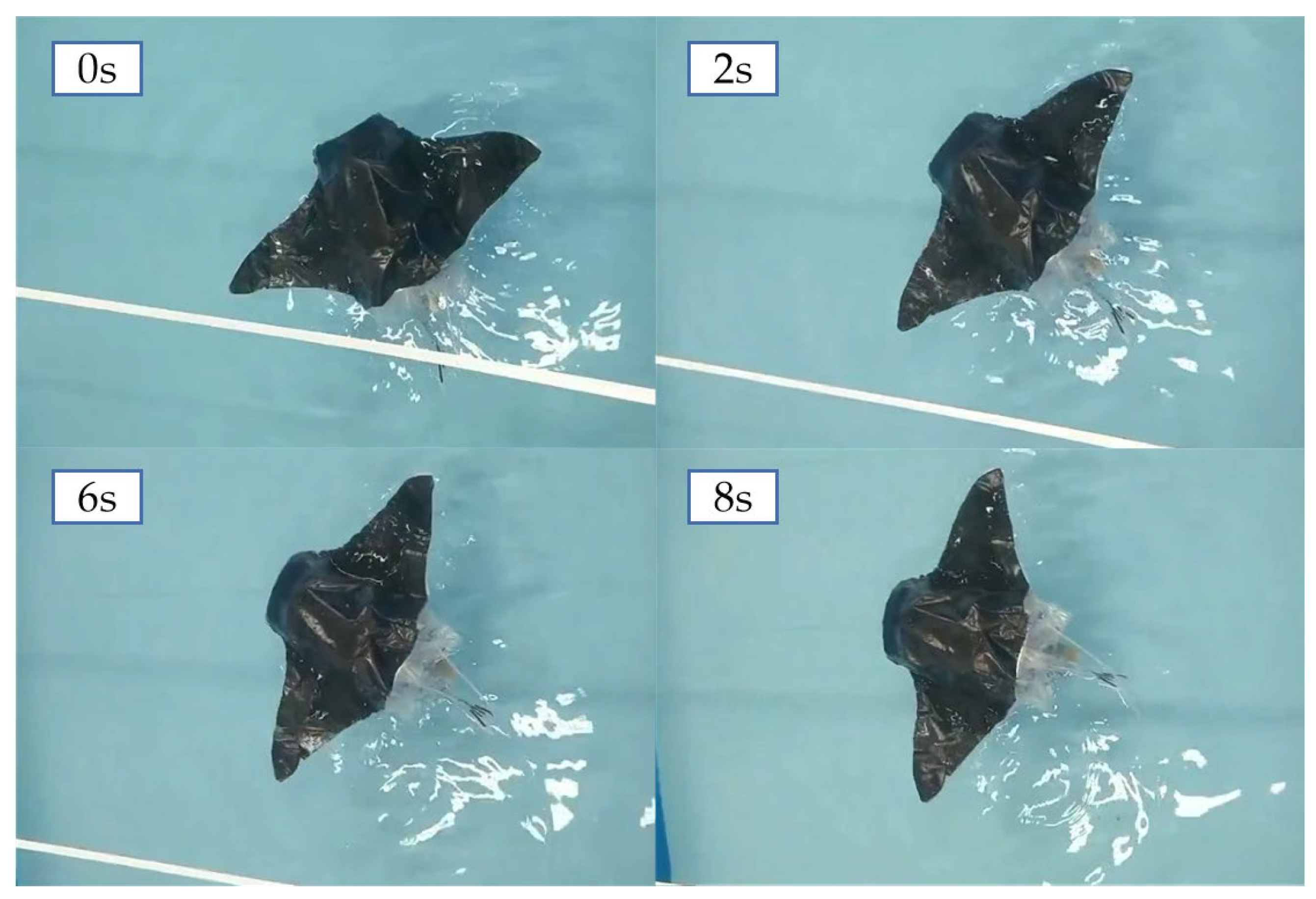 Biomimetics 08 00407 g013