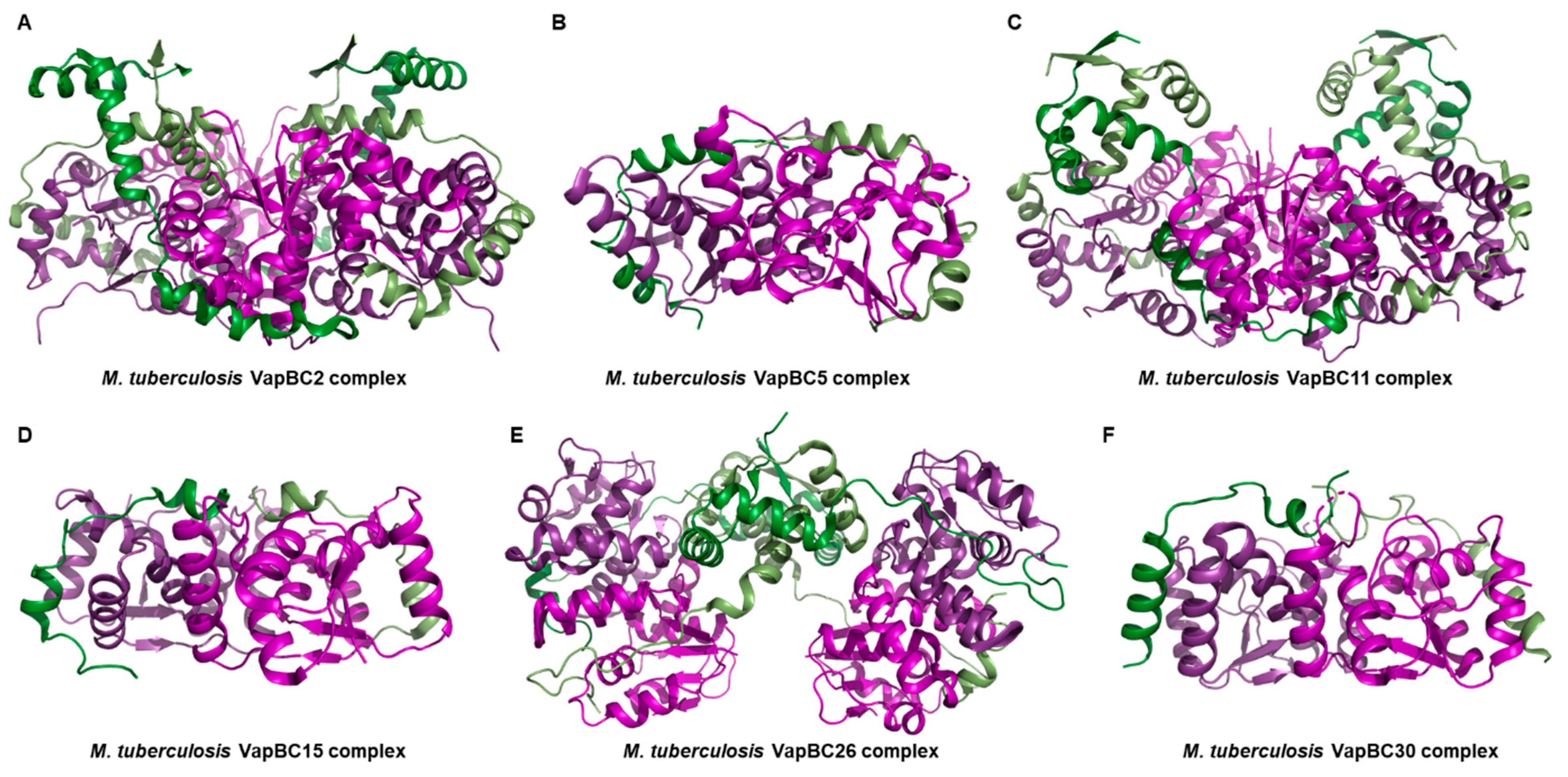 Biomimetics 08 00412 g001