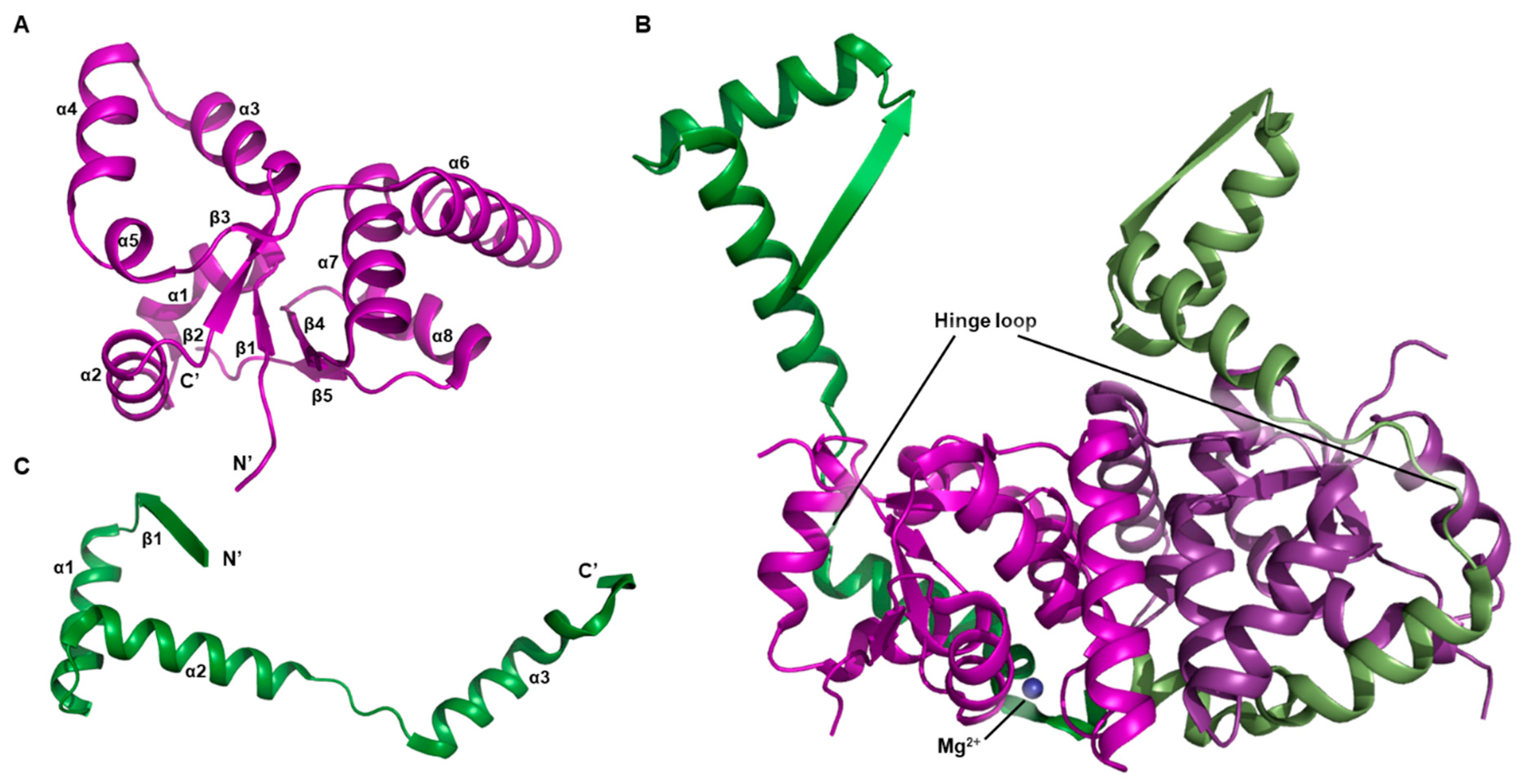 Biomimetics 08 00412 g002