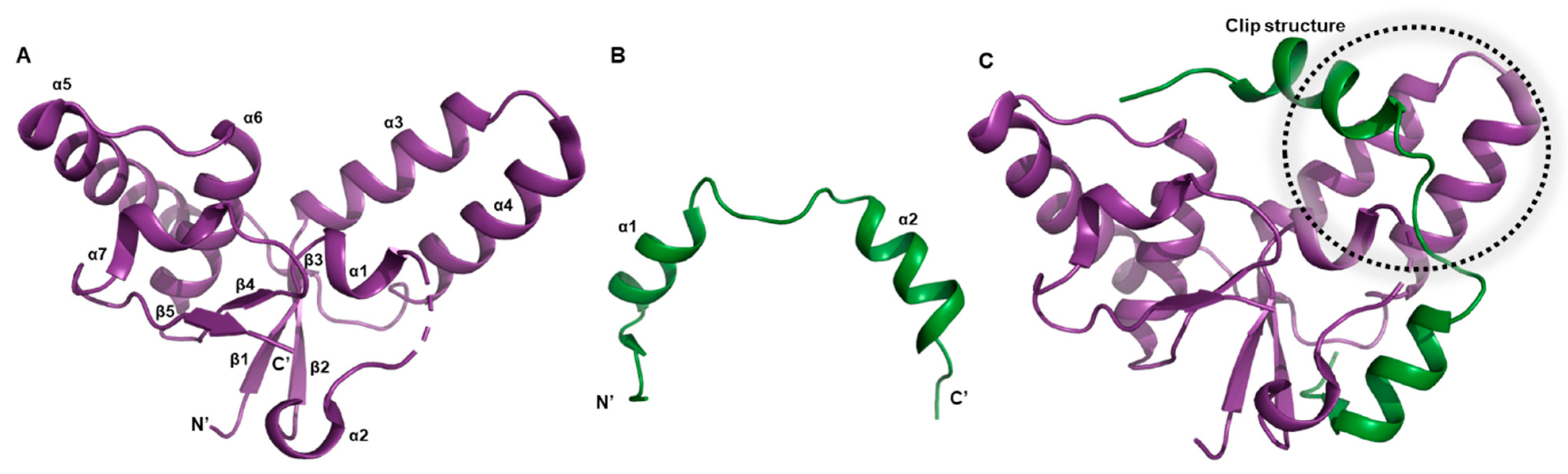 Biomimetics 08 00412 g003