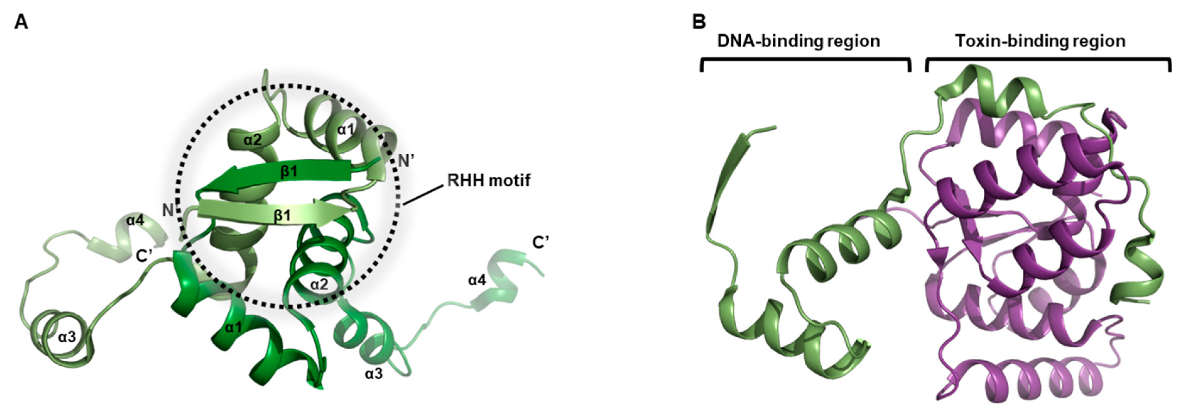 Biomimetics 08 00412 g004
