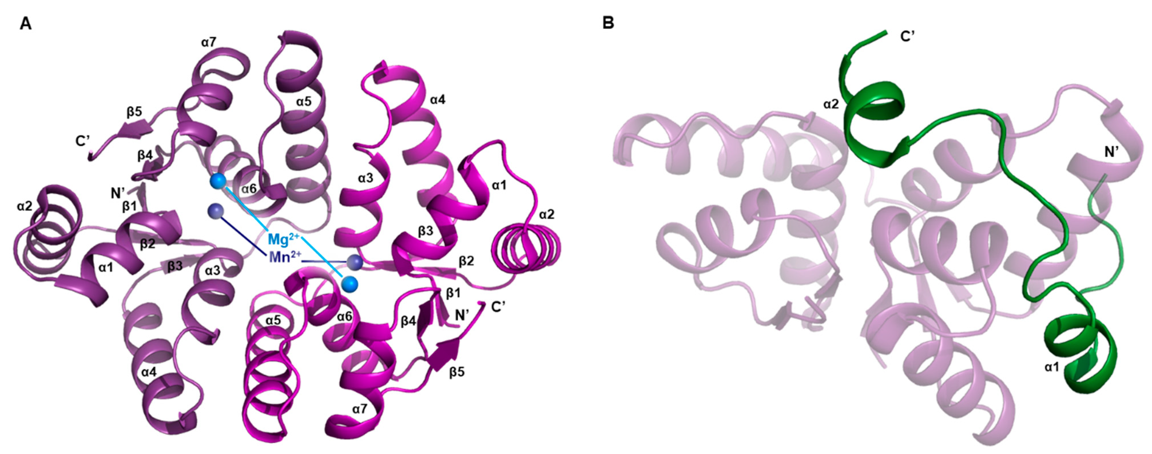Biomimetics 08 00412 g005