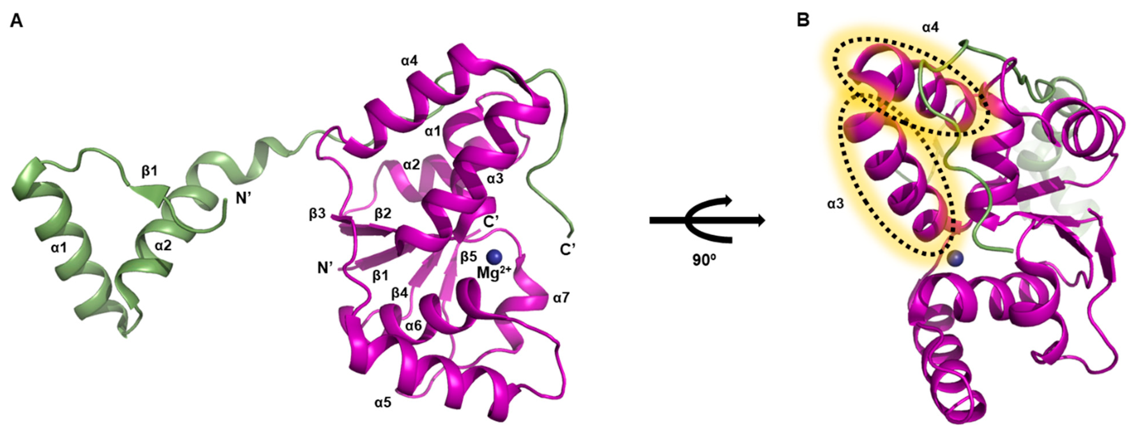 Biomimetics 08 00412 g006