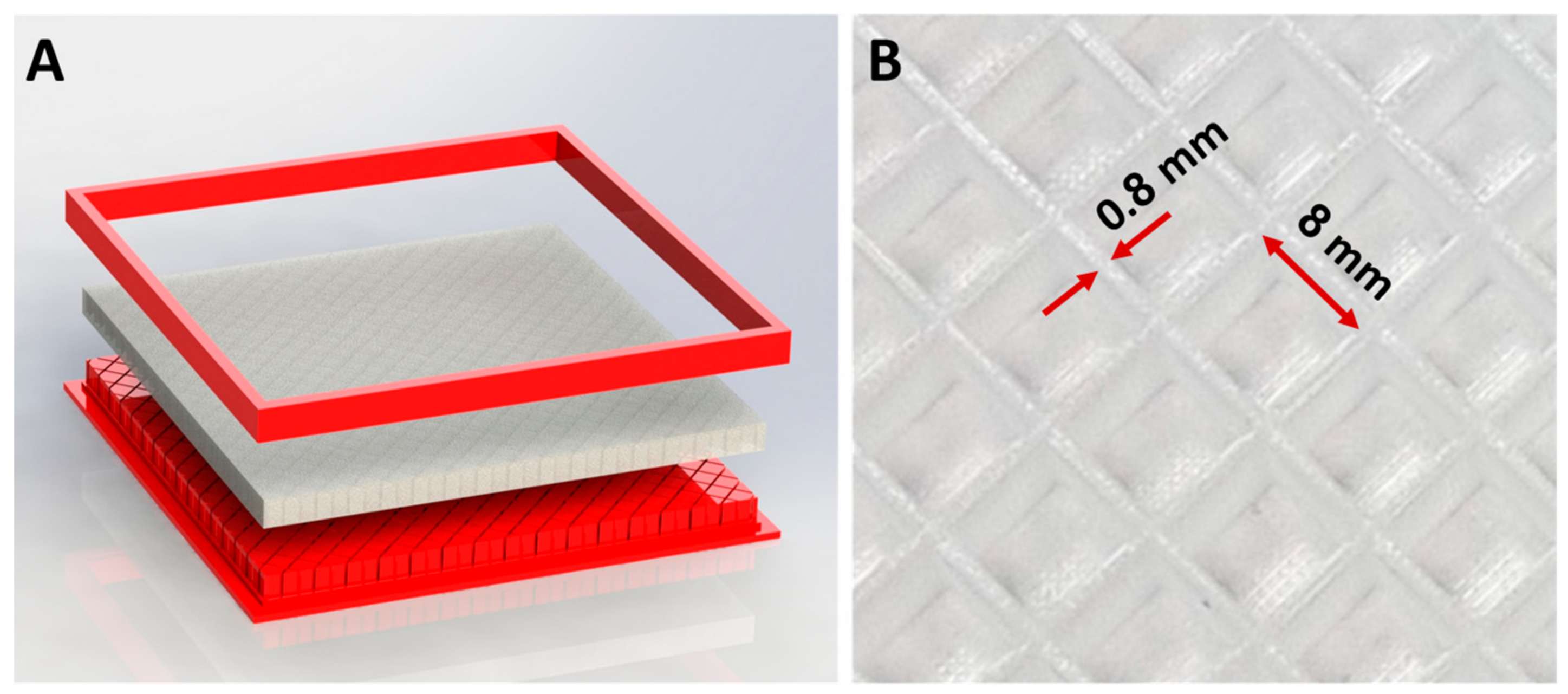 Biomimetics 08 00416 g012