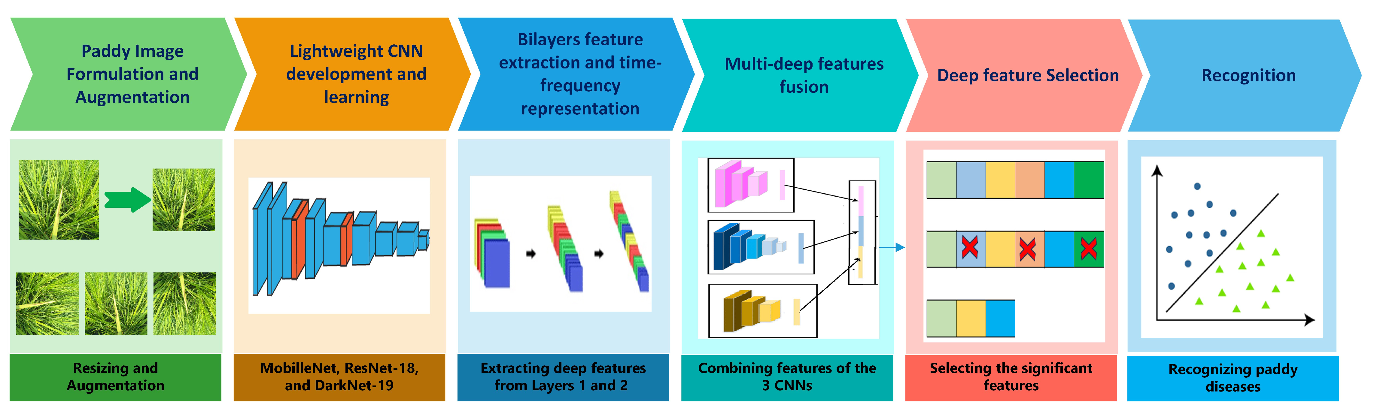 Biomimetics 08 00417 g001