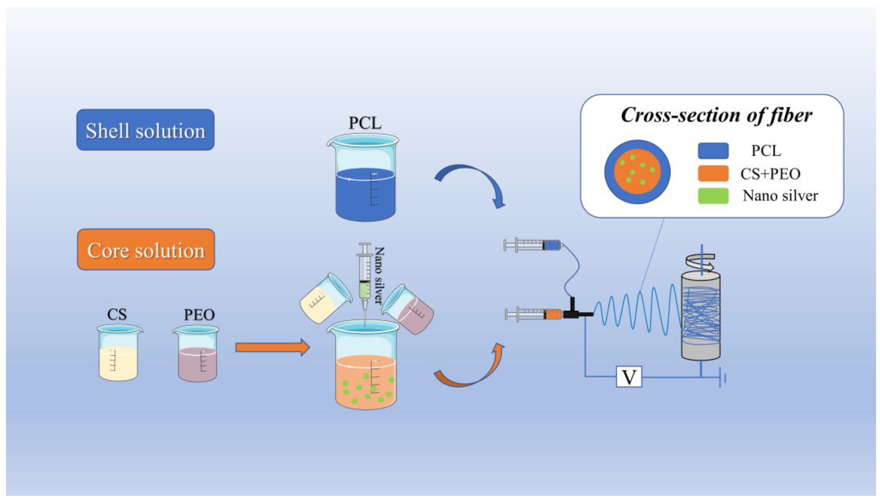 Biomimetics 08 00419 g001