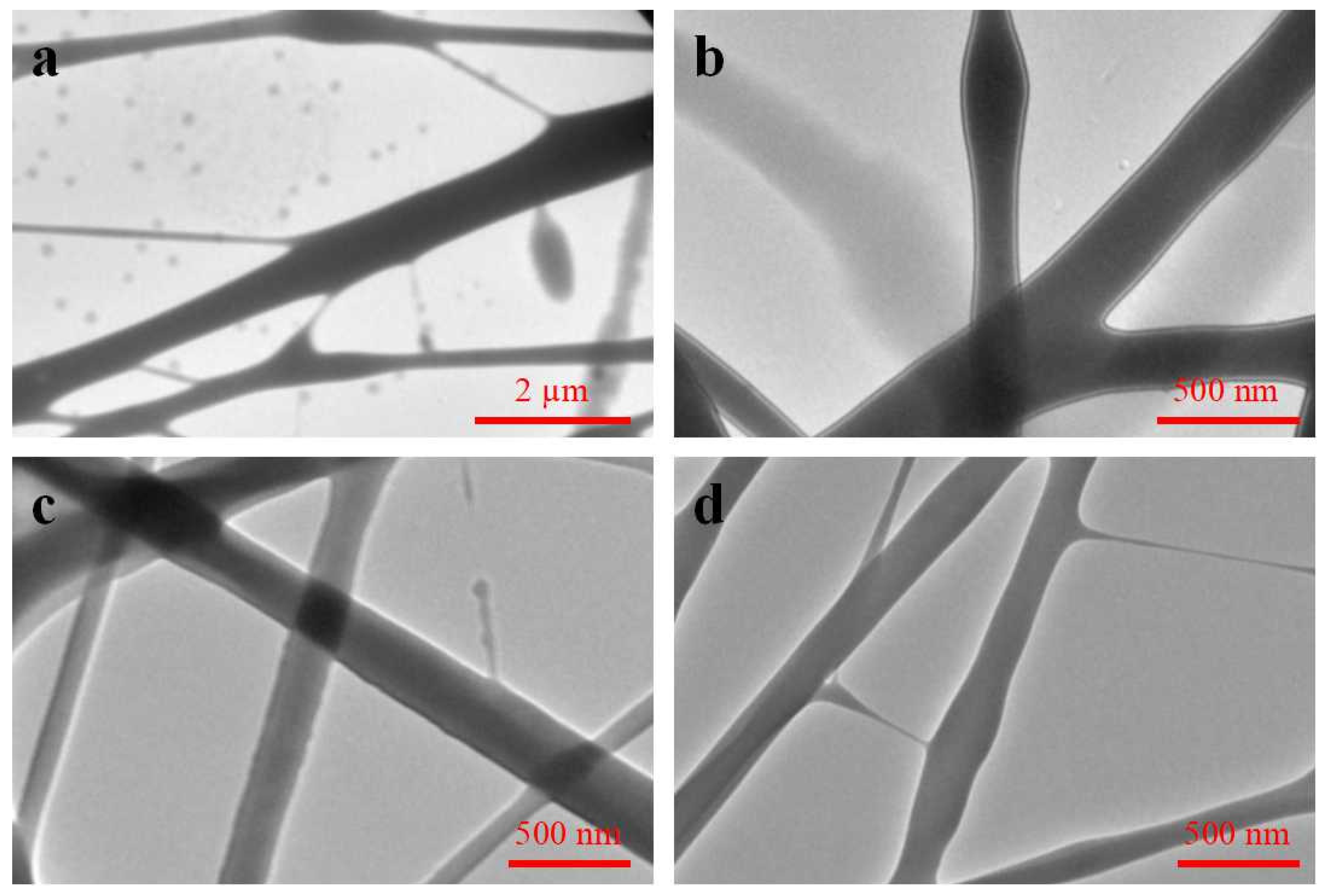 Biomimetics 08 00419 g006