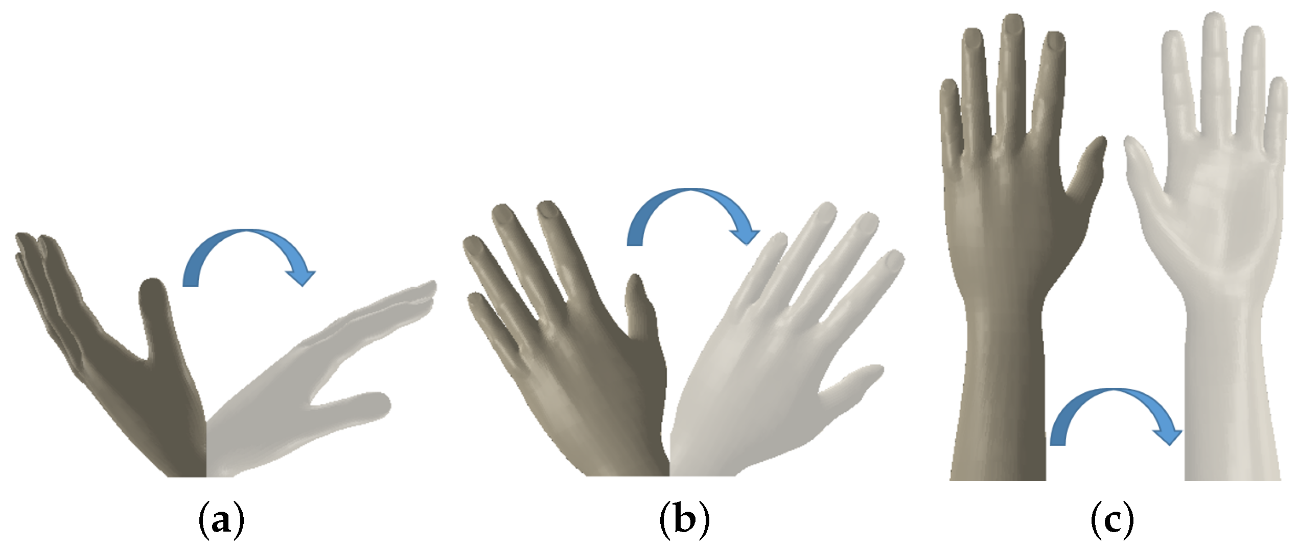 Biomimetics 08 00420 g001