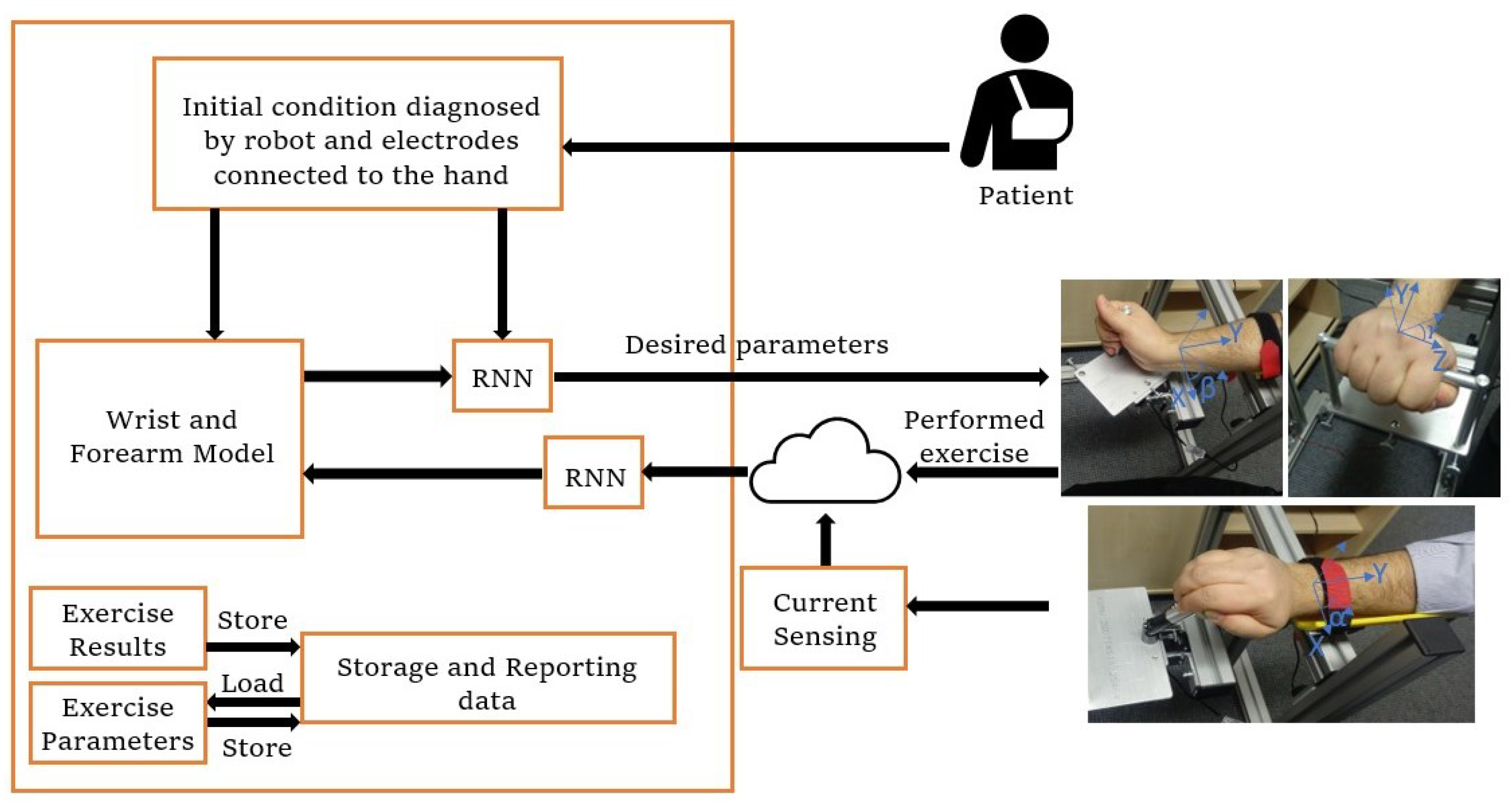 Biomimetics 08 00420 g003