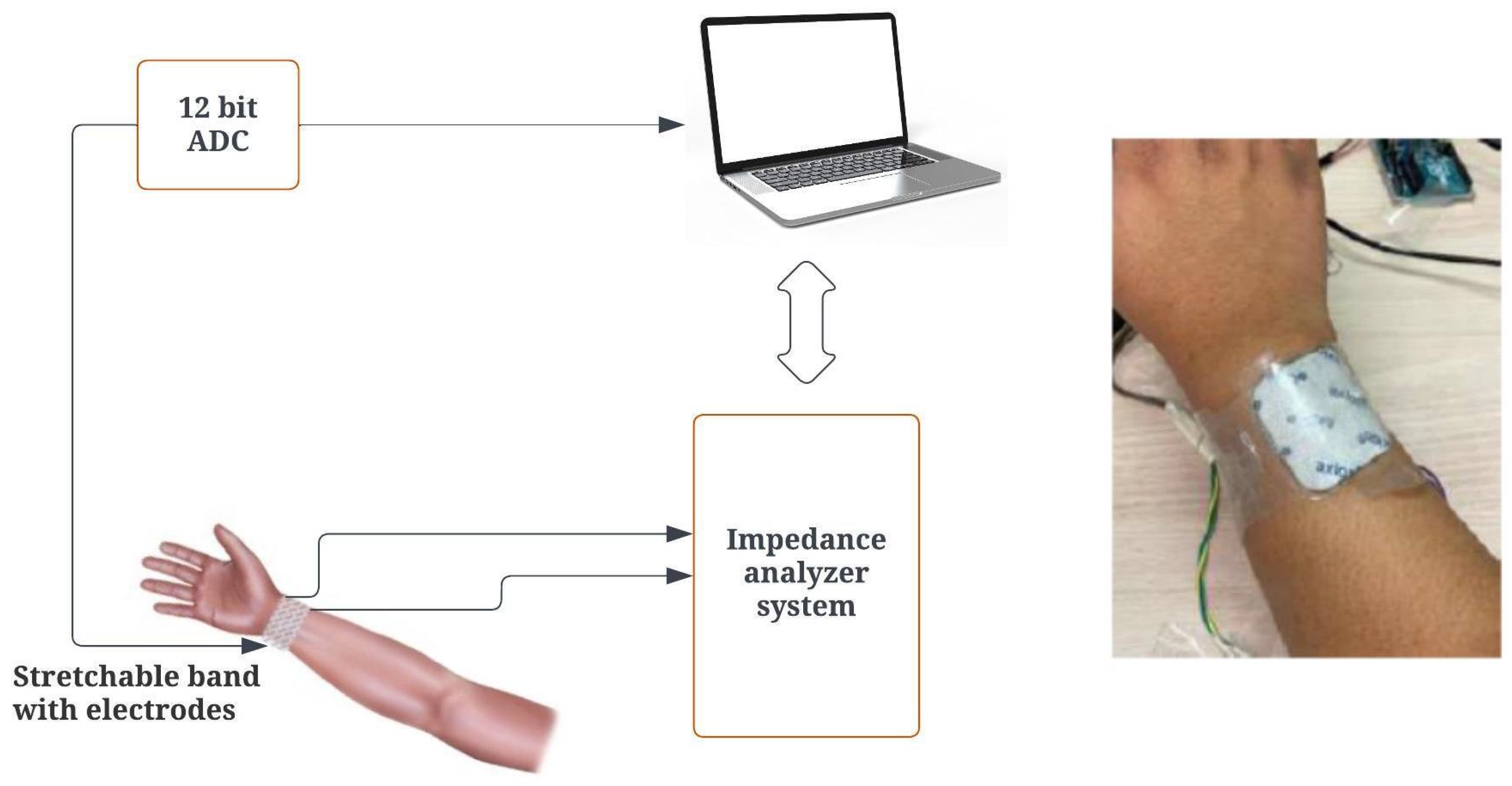 Biomimetics 08 00420 g006