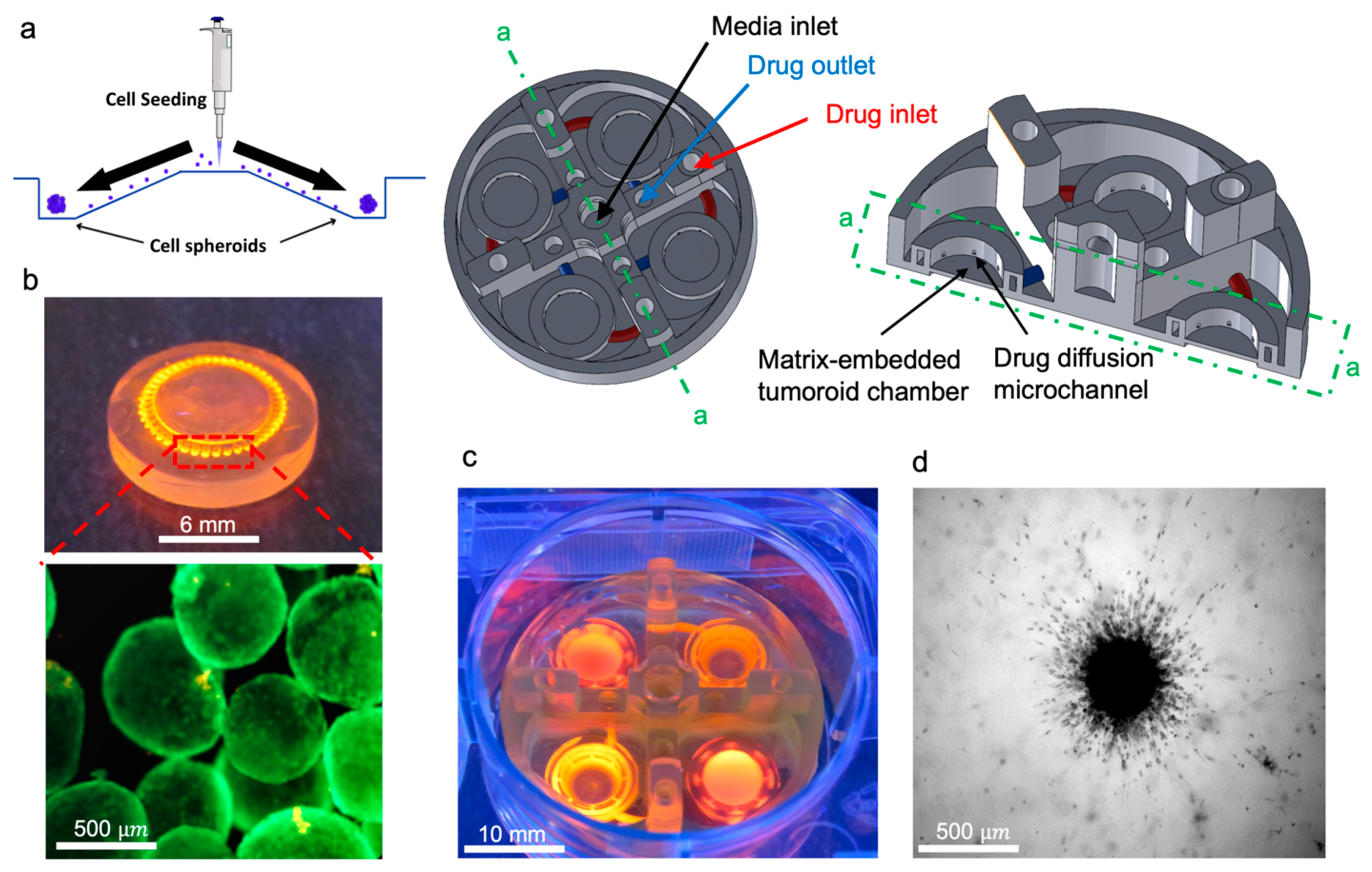 Biomimetics 08 00421 g002