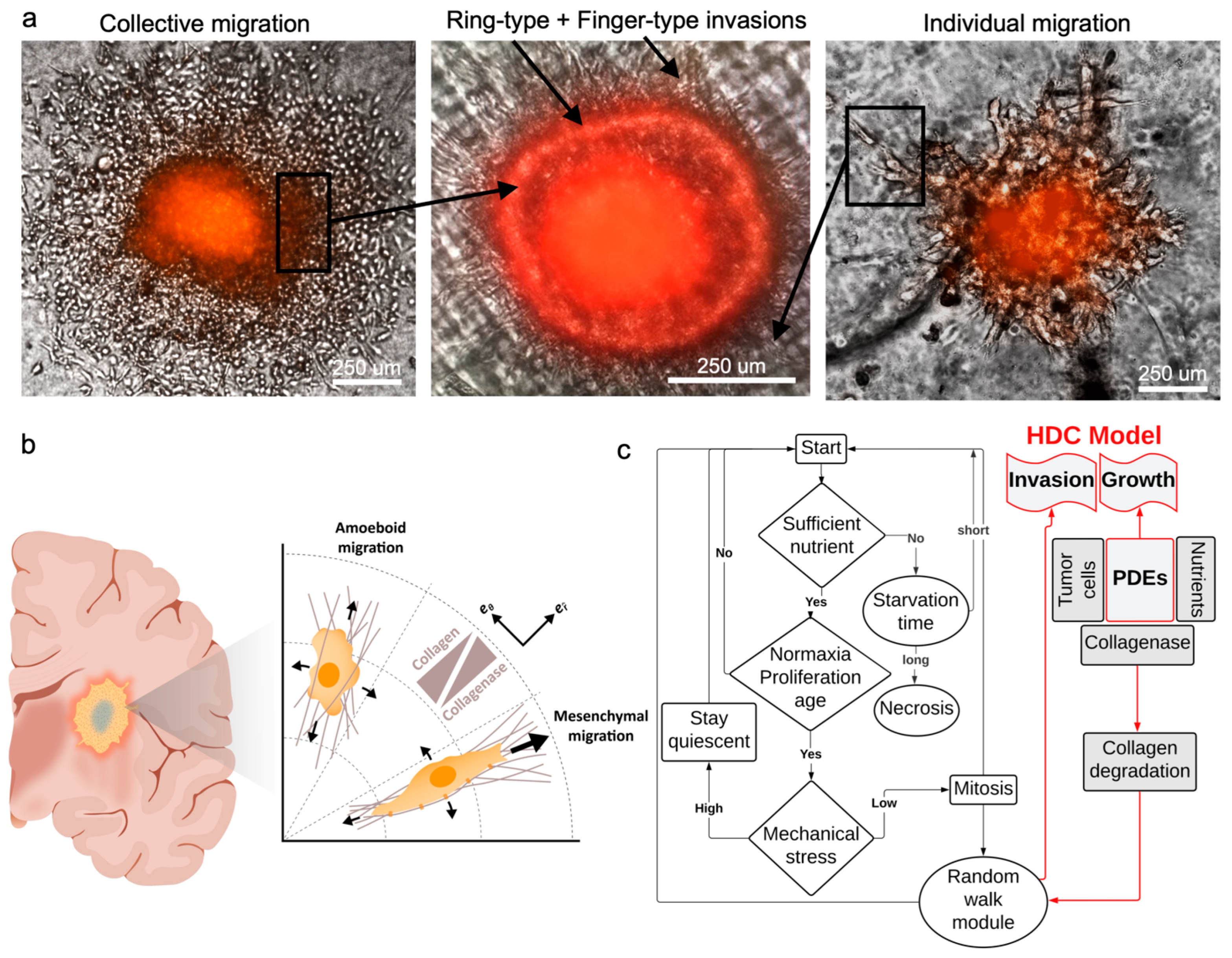 Biomimetics 08 00421 g003