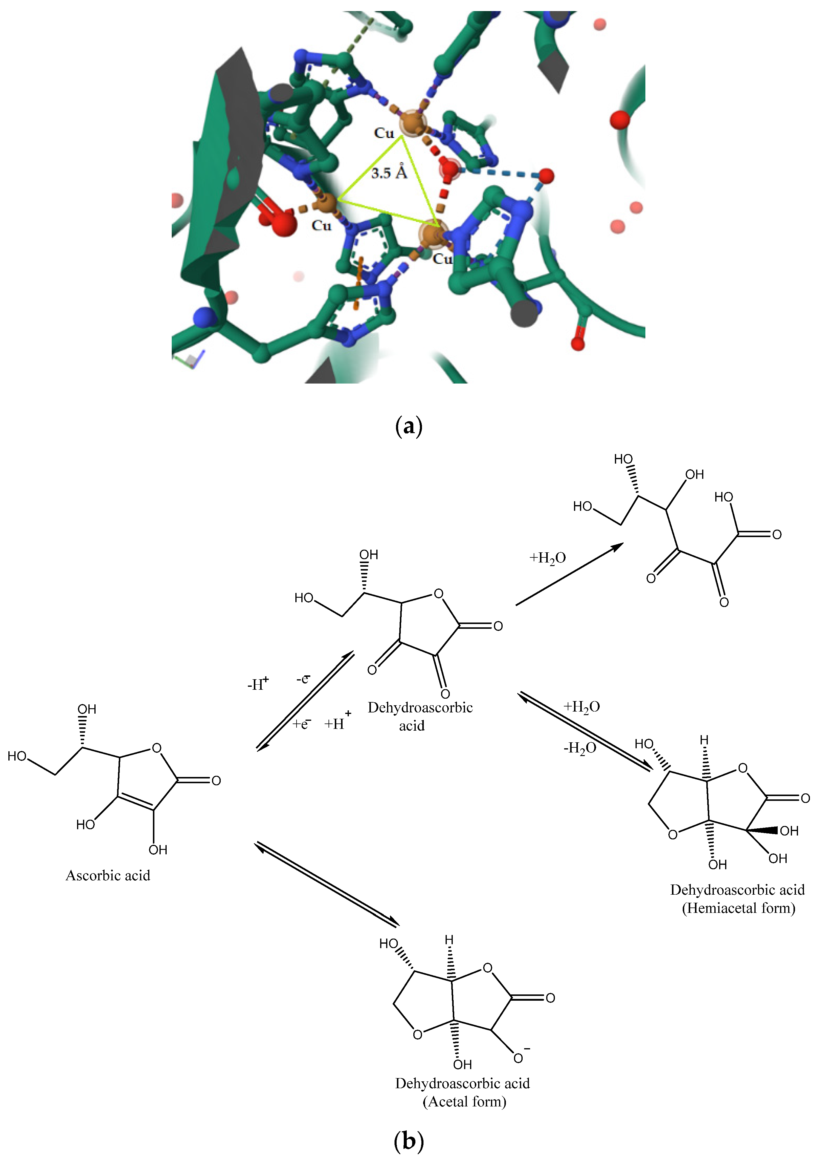 Biomimetics 08 00423 sch001