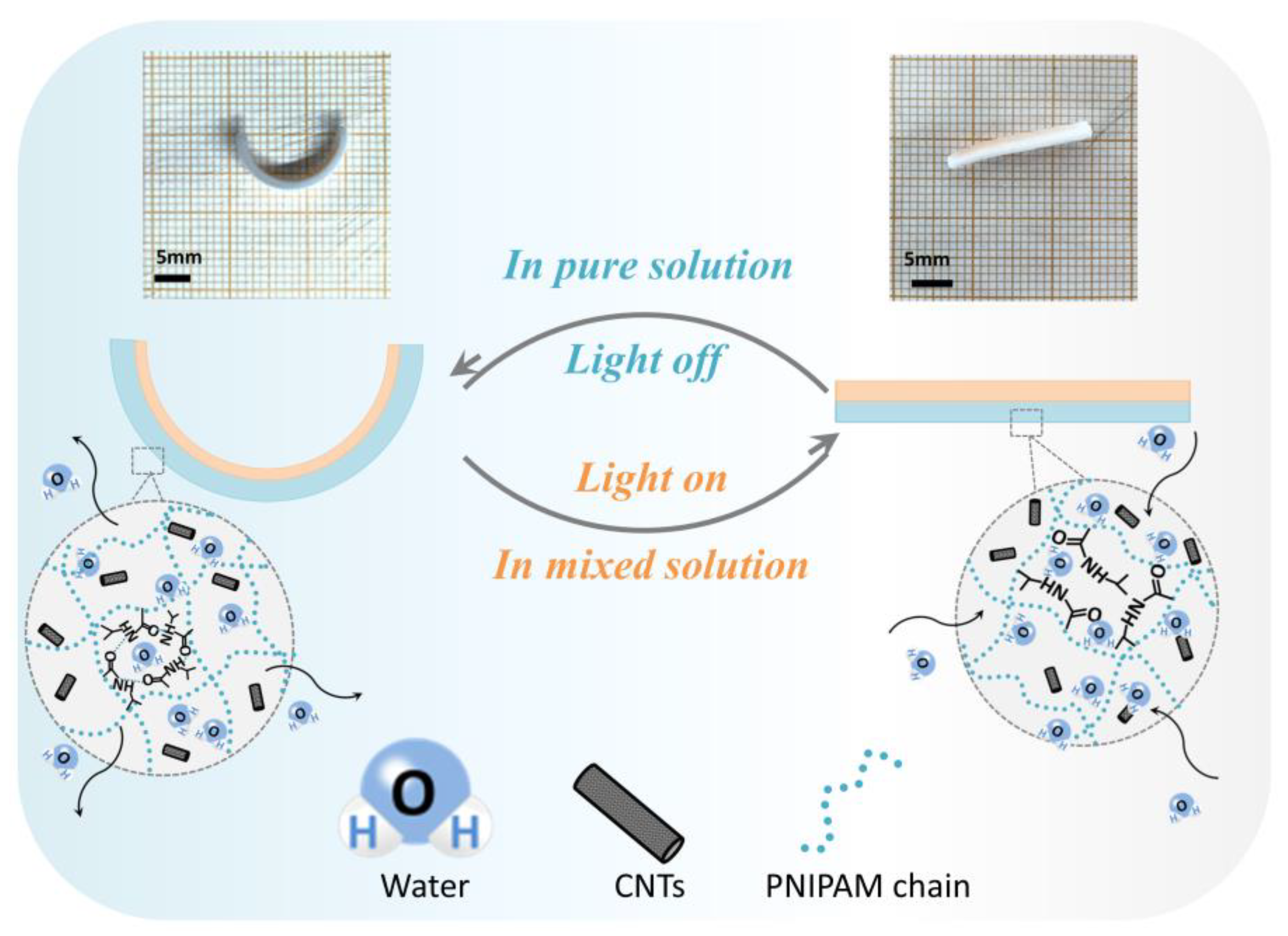 Biomimetics 08 00429 g001