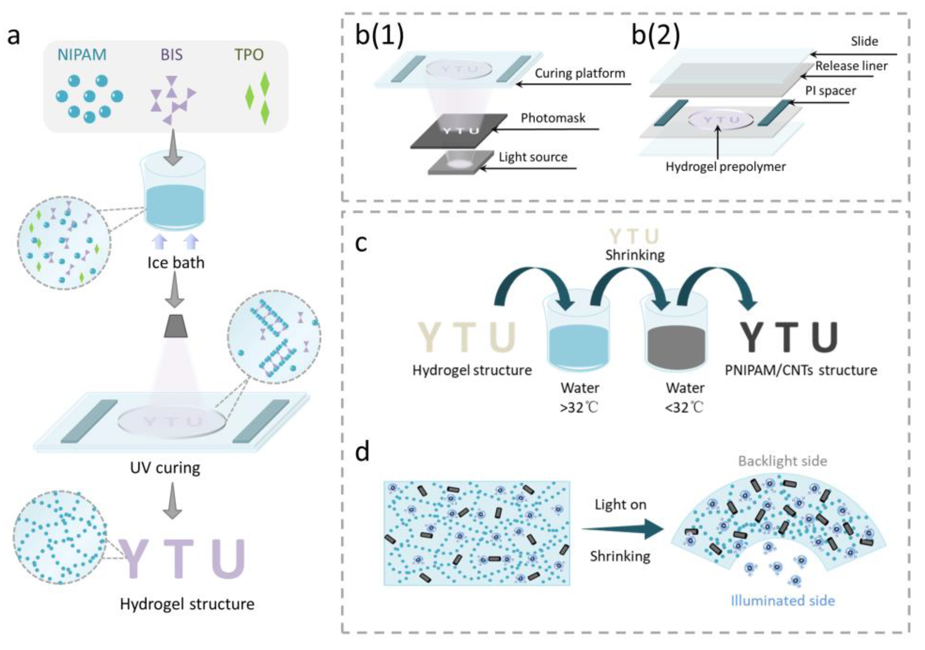 Biomimetics 08 00429 g002