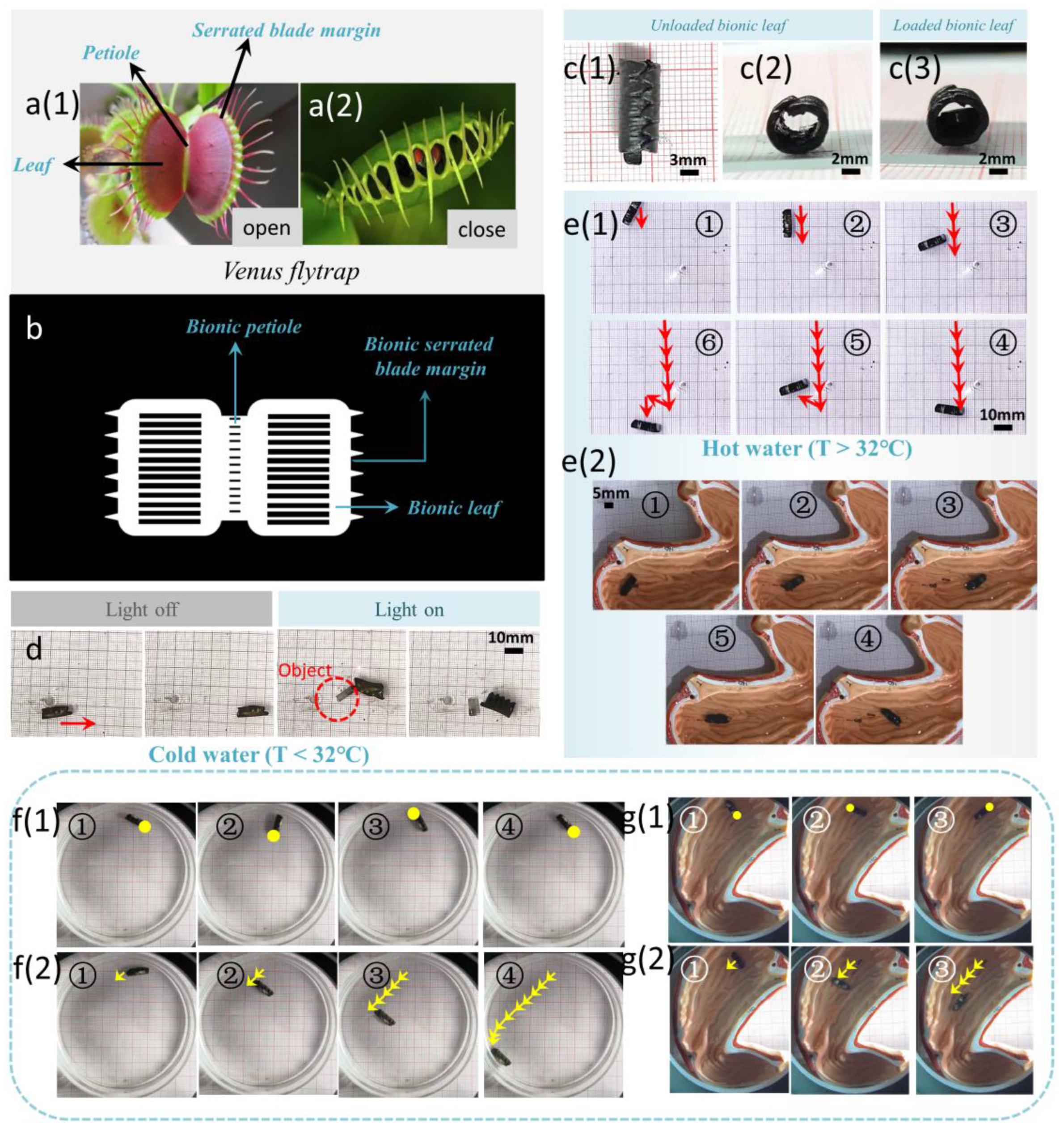 Biomimetics 08 00429 g005