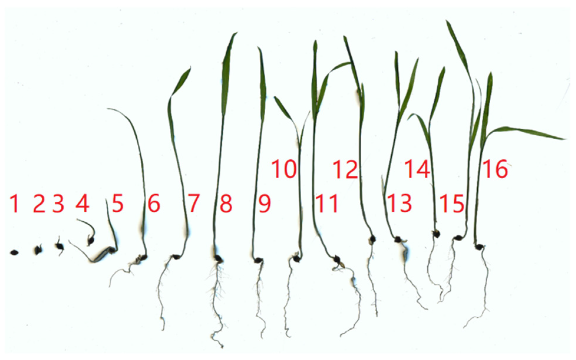 Biomimetics 08 00430 g003 Biomimetics 08 00430 g003