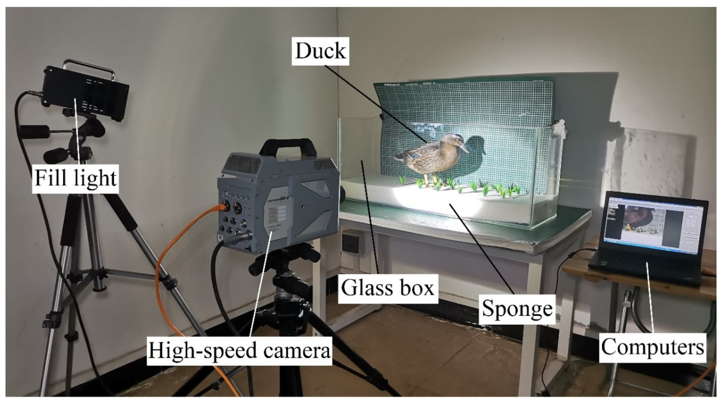 Biomimetics 08 00430 g004 Biomimetics 08 00430 g004