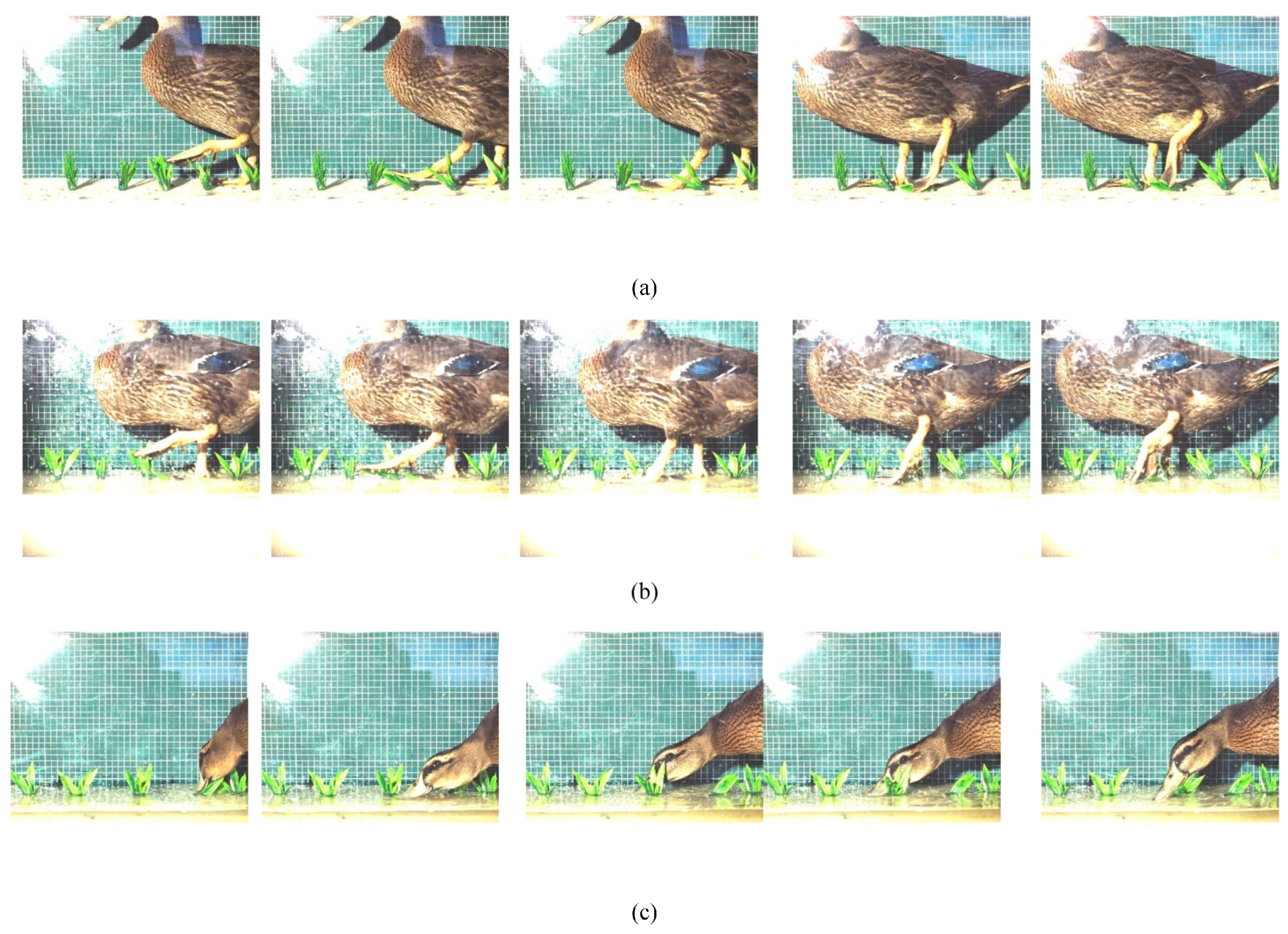 Biomimetics 08 00430 g005 Biomimetics 08 00430 g005