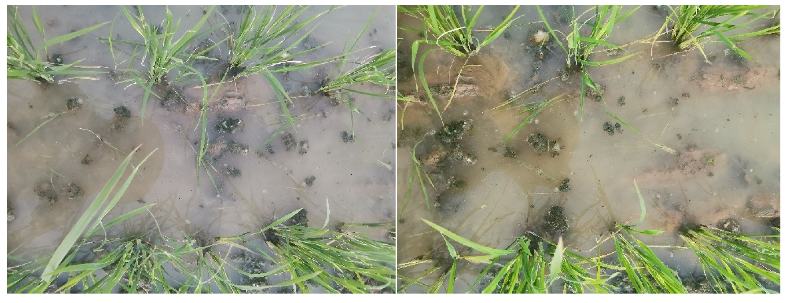 Biomimetics 08 00430 g012 Biomimetics 08 00430 g012