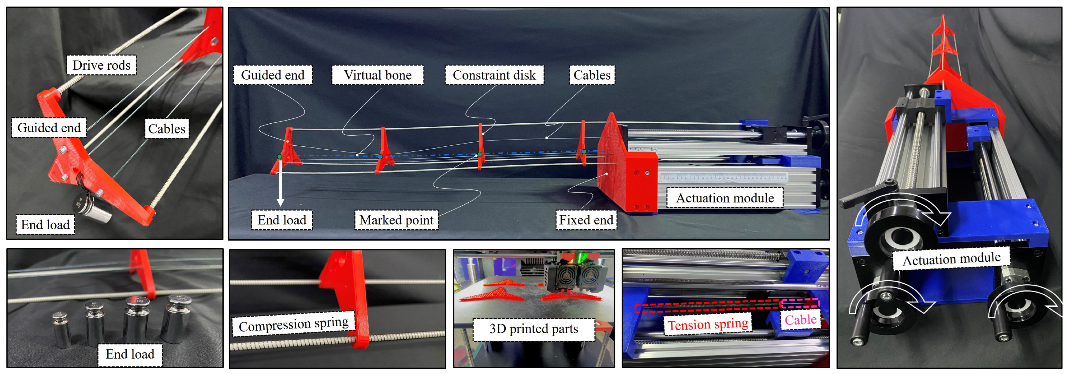 Biomimetics 08 00433 g008 Biomimetics 08 00433 g008