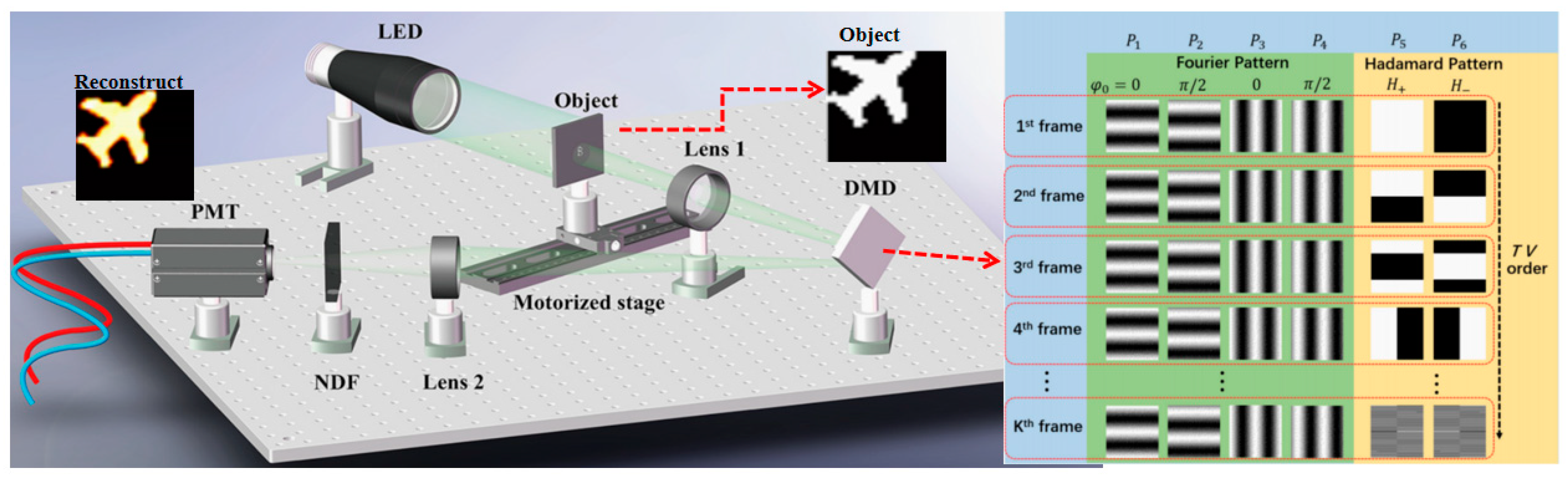 Biomimetics 08 00435 g010