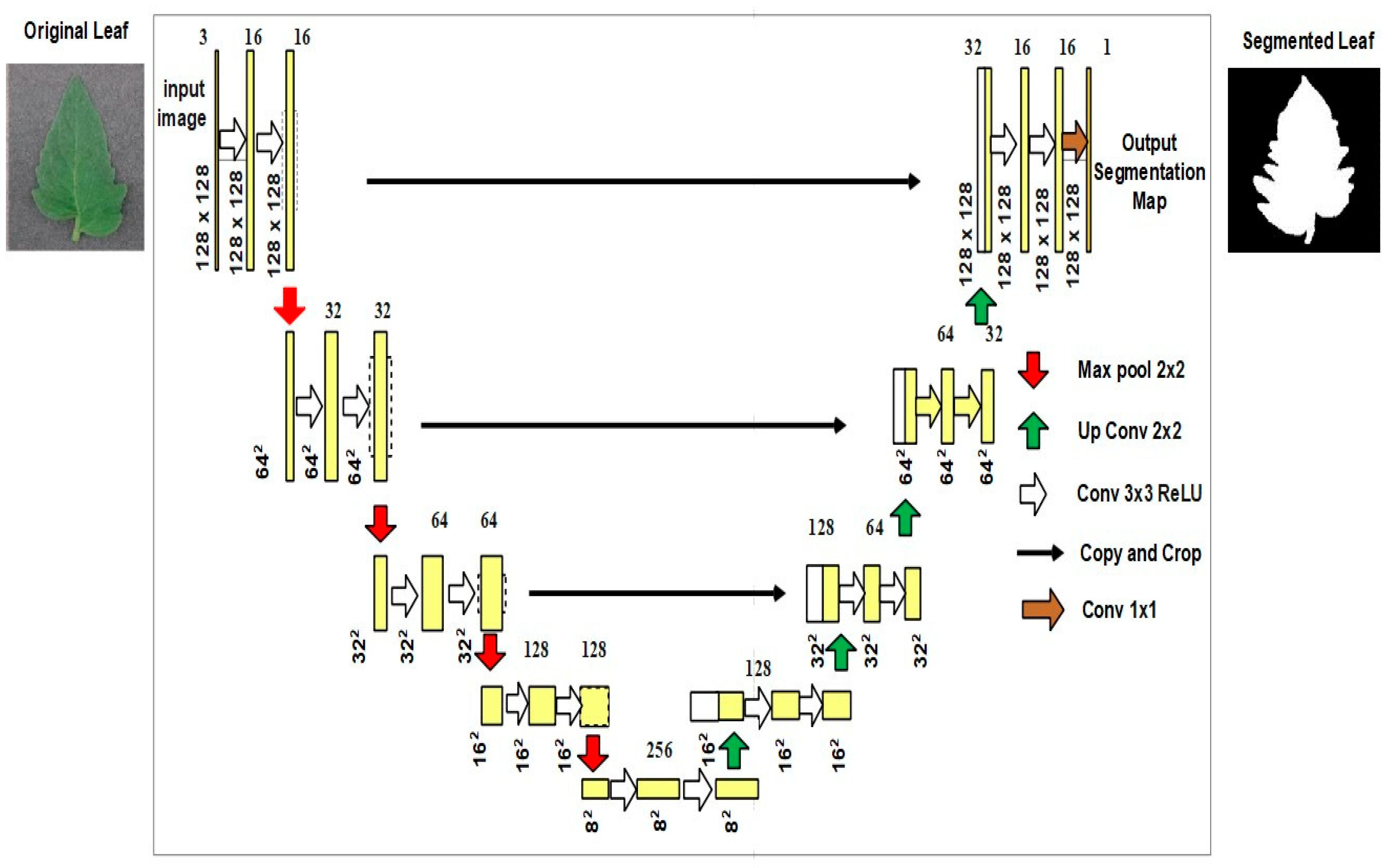 Biomimetics 08 00438 g003
