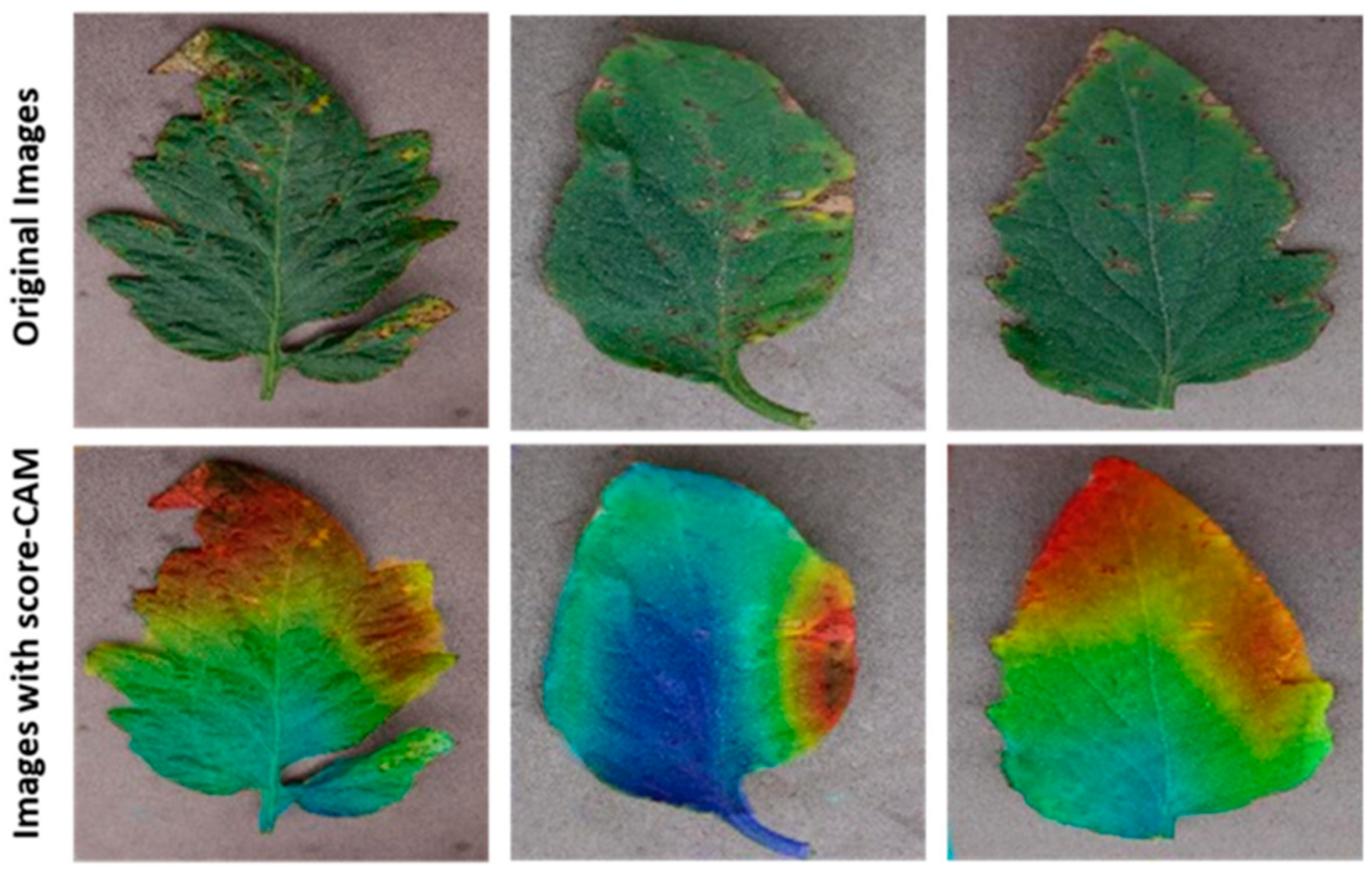 Biomimetics 08 00438 g007