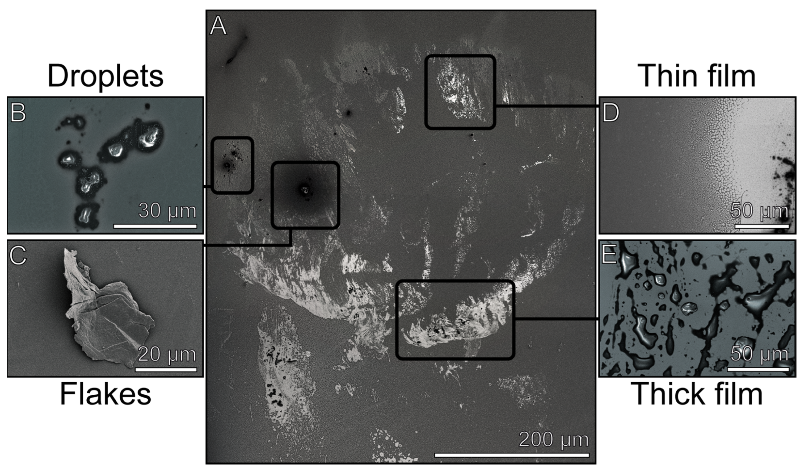 Biomimetics 08 00439 g002