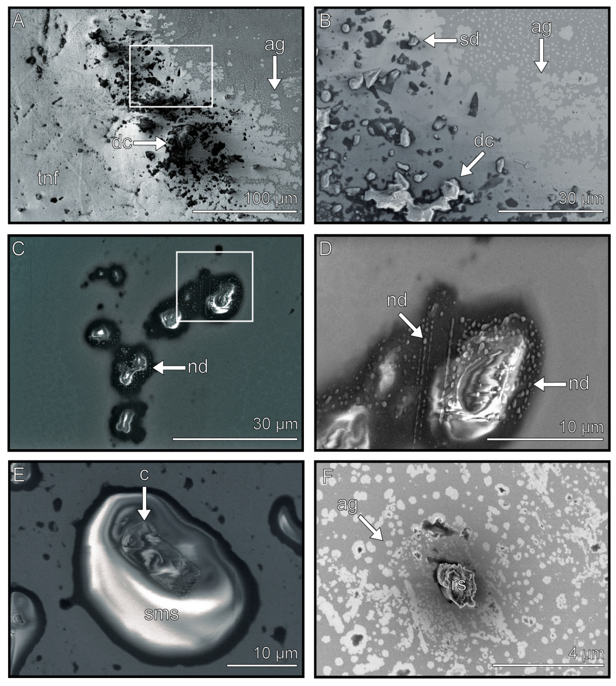Biomimetics 08 00439 g004