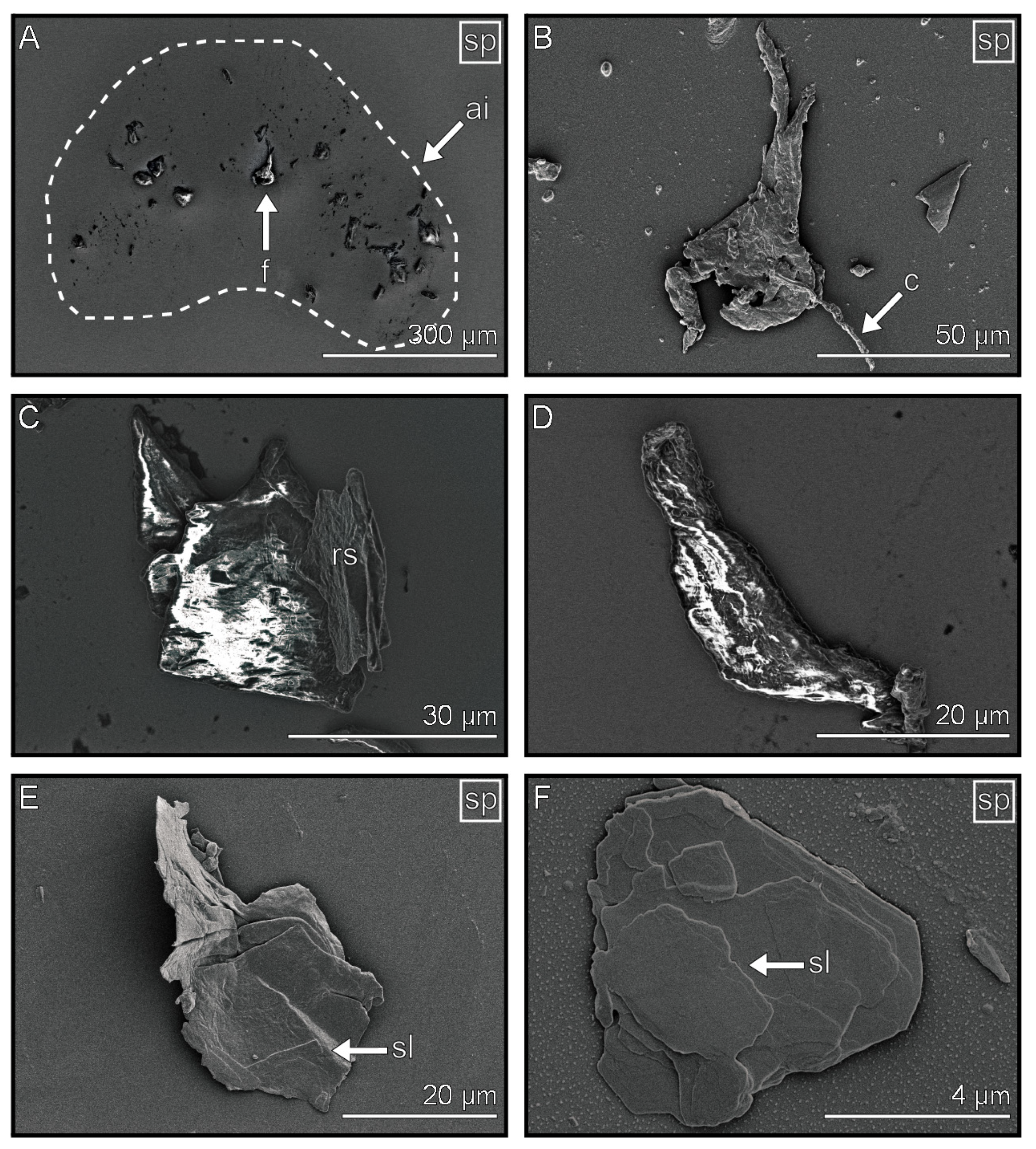 Biomimetics 08 00439 g005