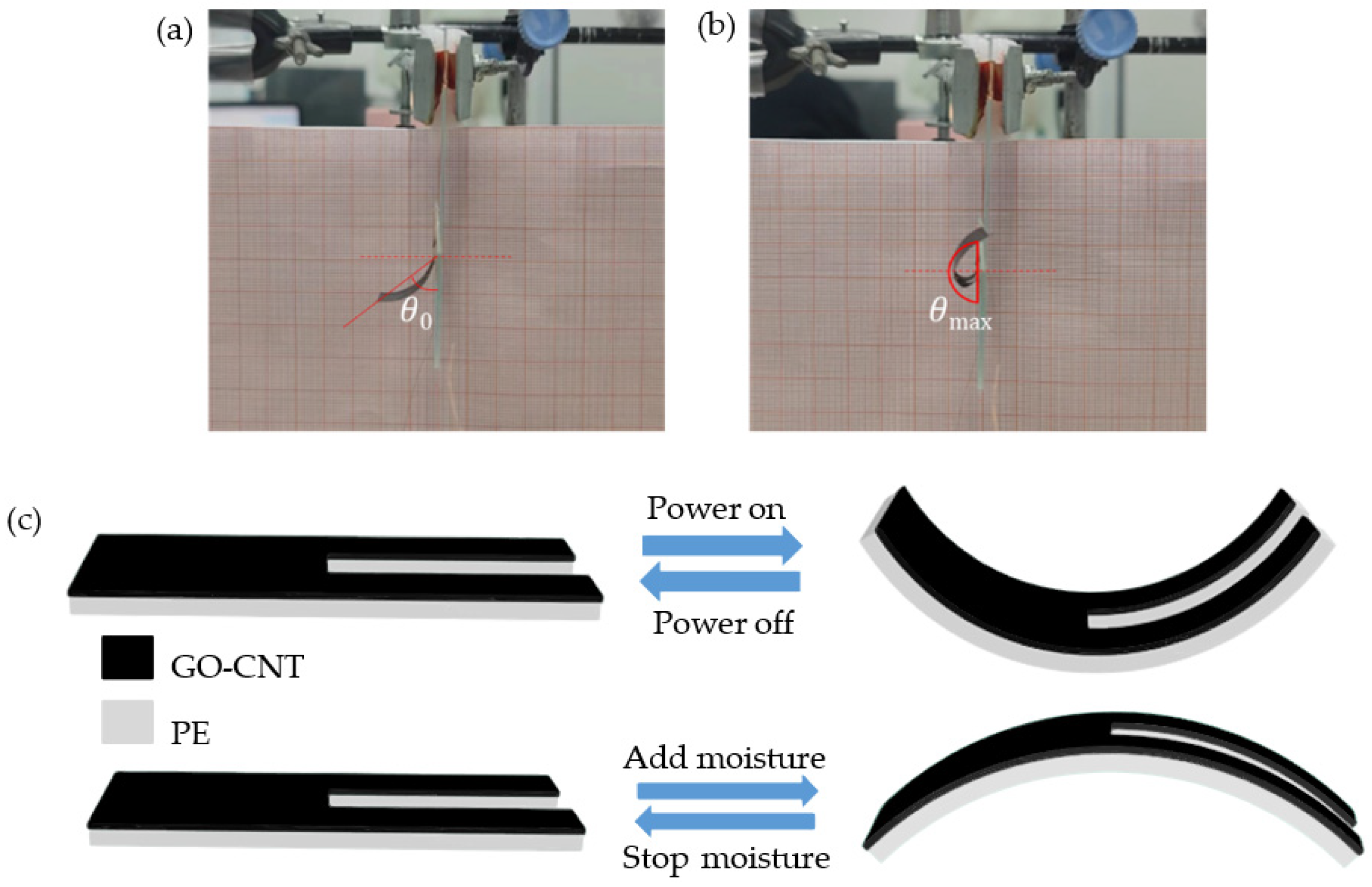 Biomimetics 08 00443 g002