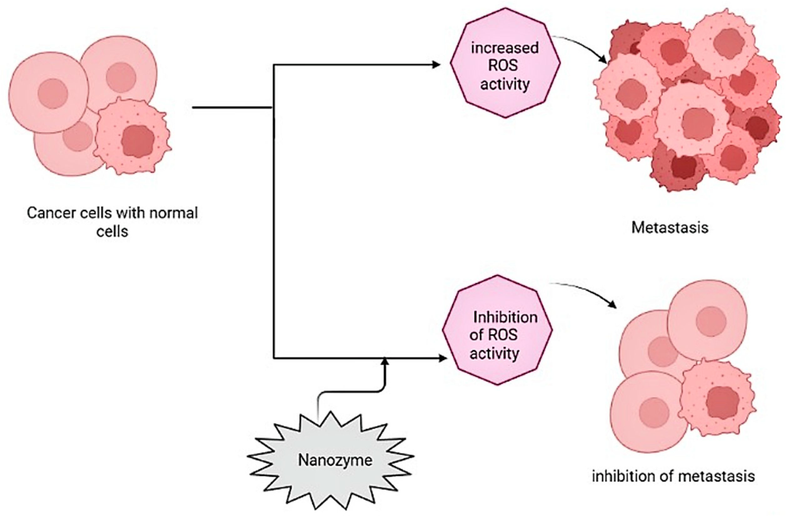 Biomimetics 08 00446 g004
