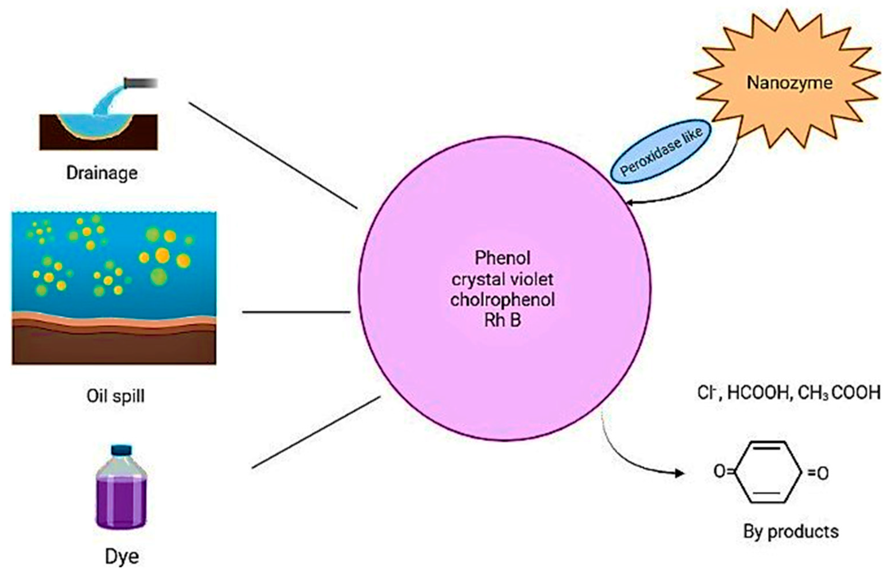 Biomimetics 08 00446 g005