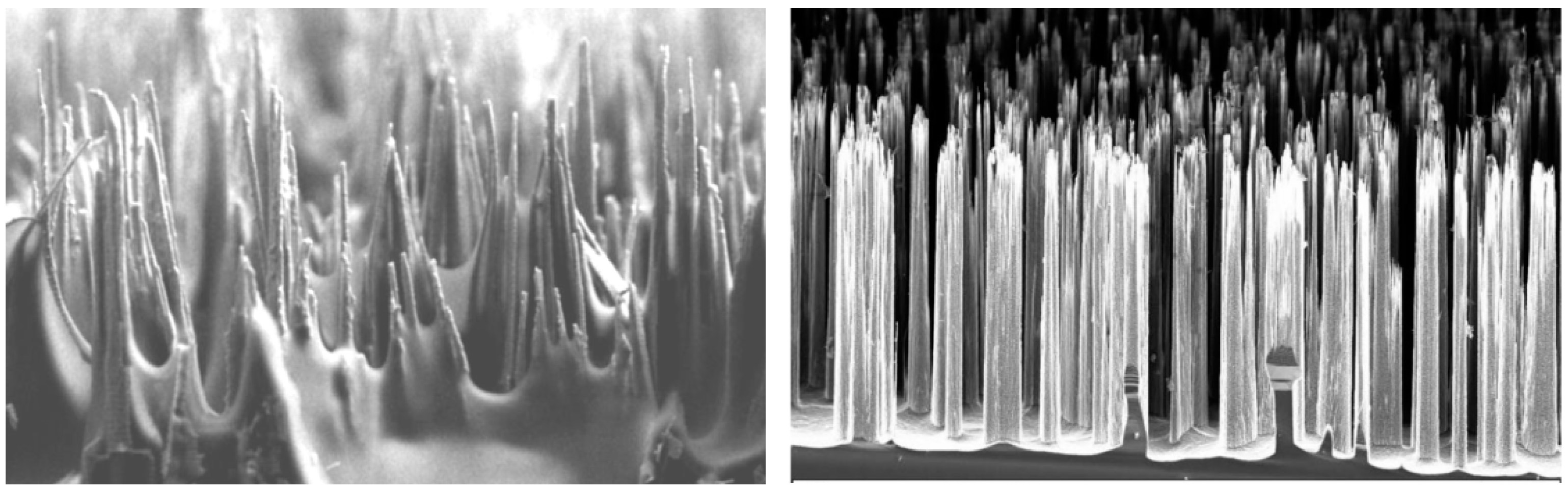 Biomimetics 08 00448 g004