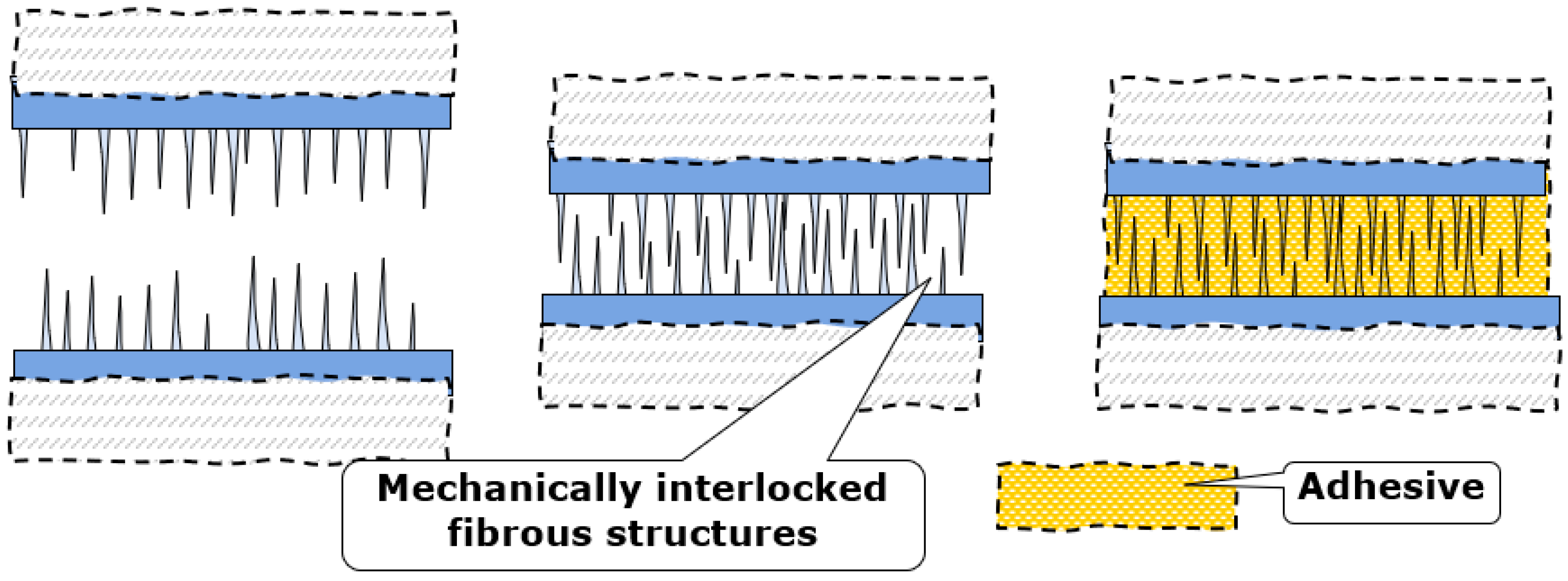 Biomimetics 08 00448 g006