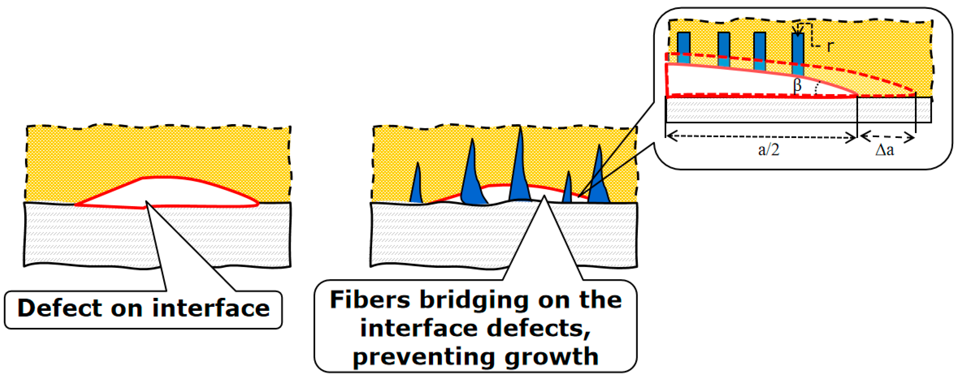 Biomimetics 08 00448 g007