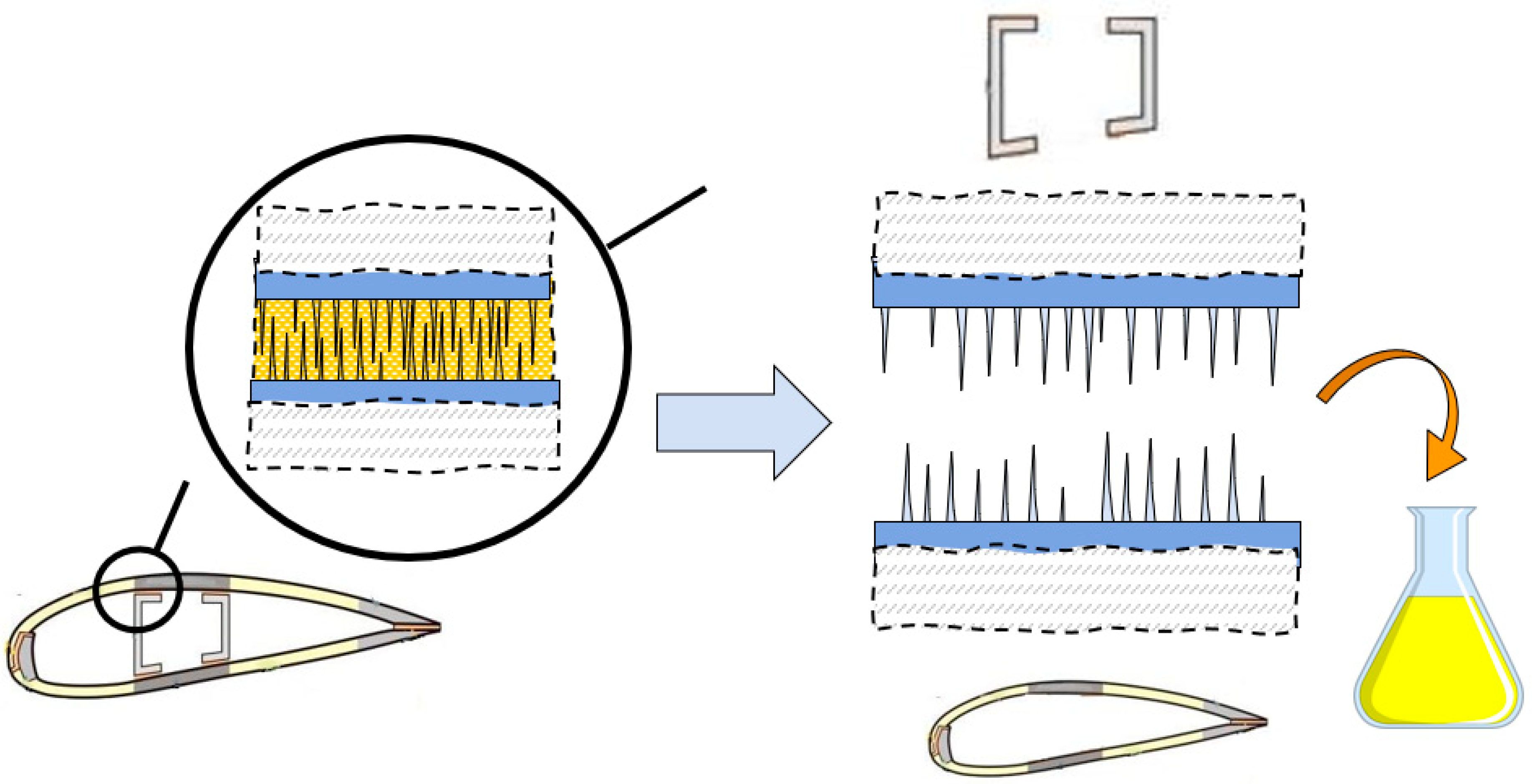 Biomimetics 08 00448 g010