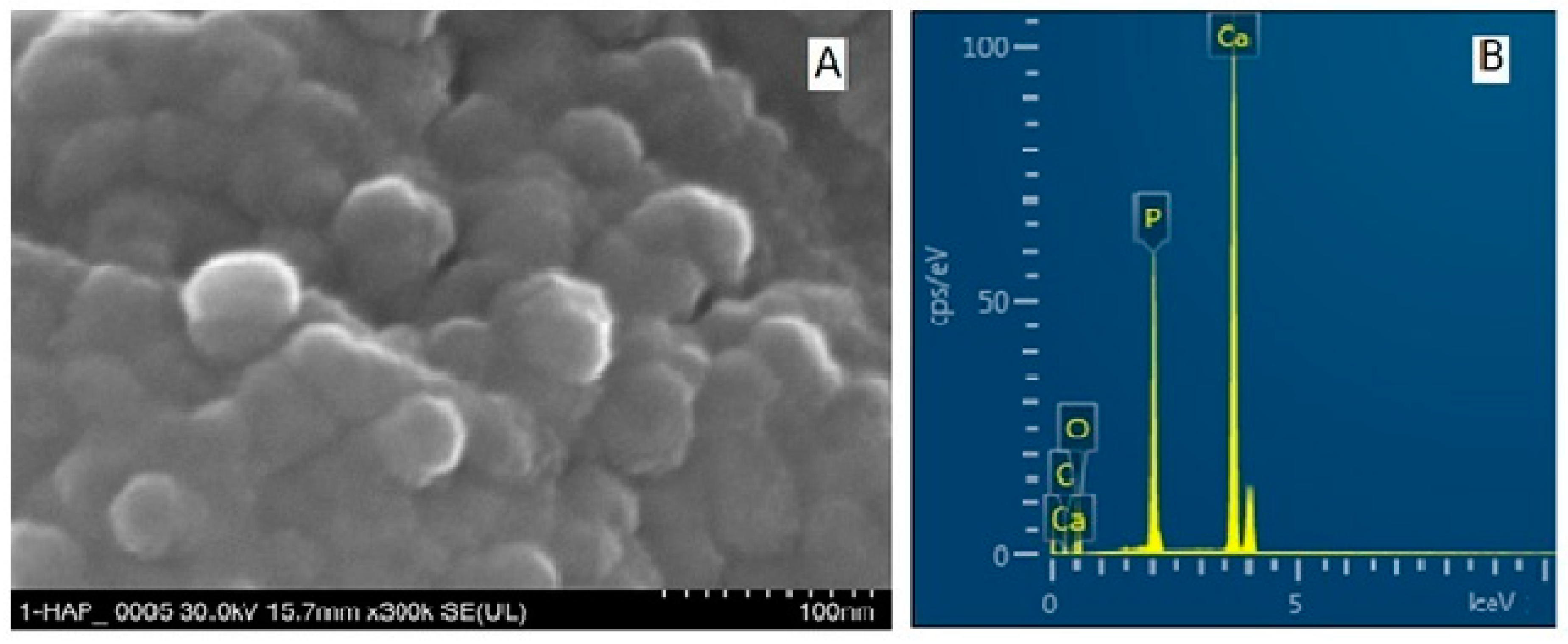 Biomimetics 08 00450 g003