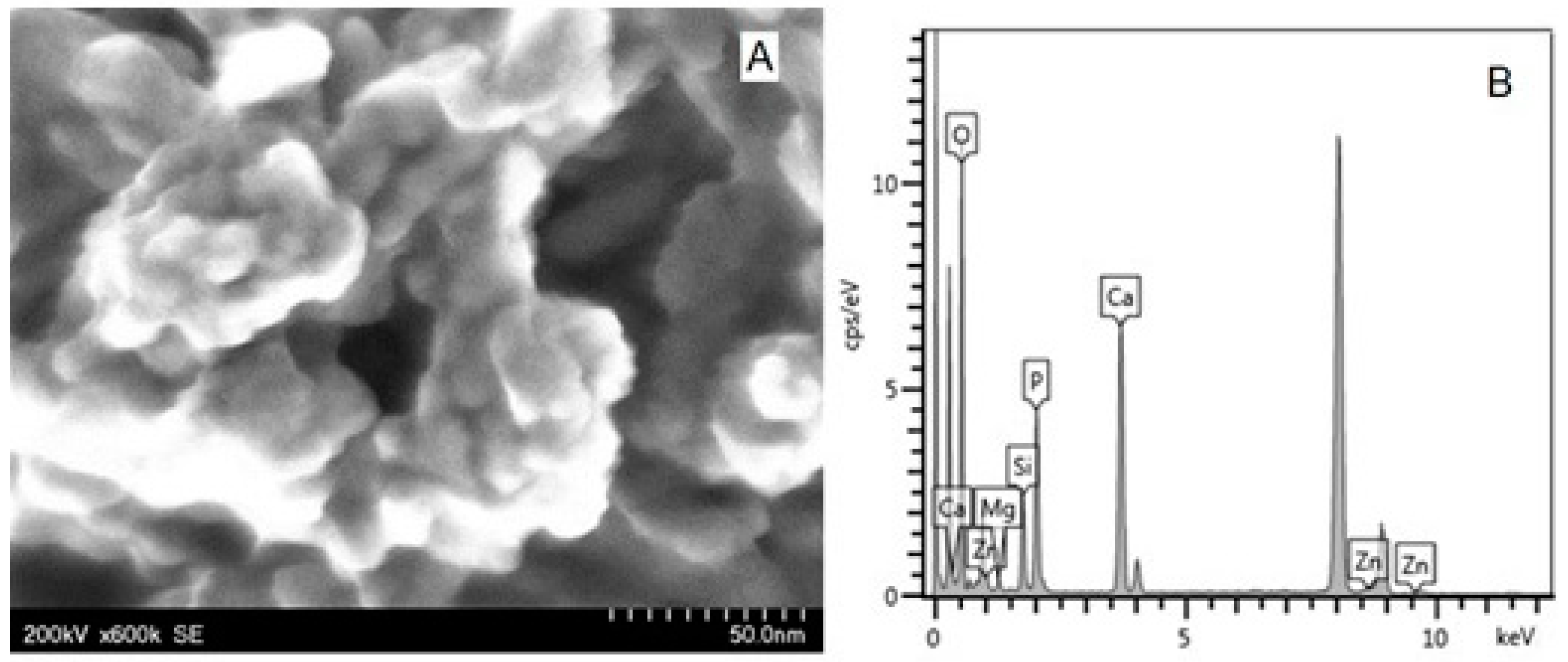 Biomimetics 08 00450 g004