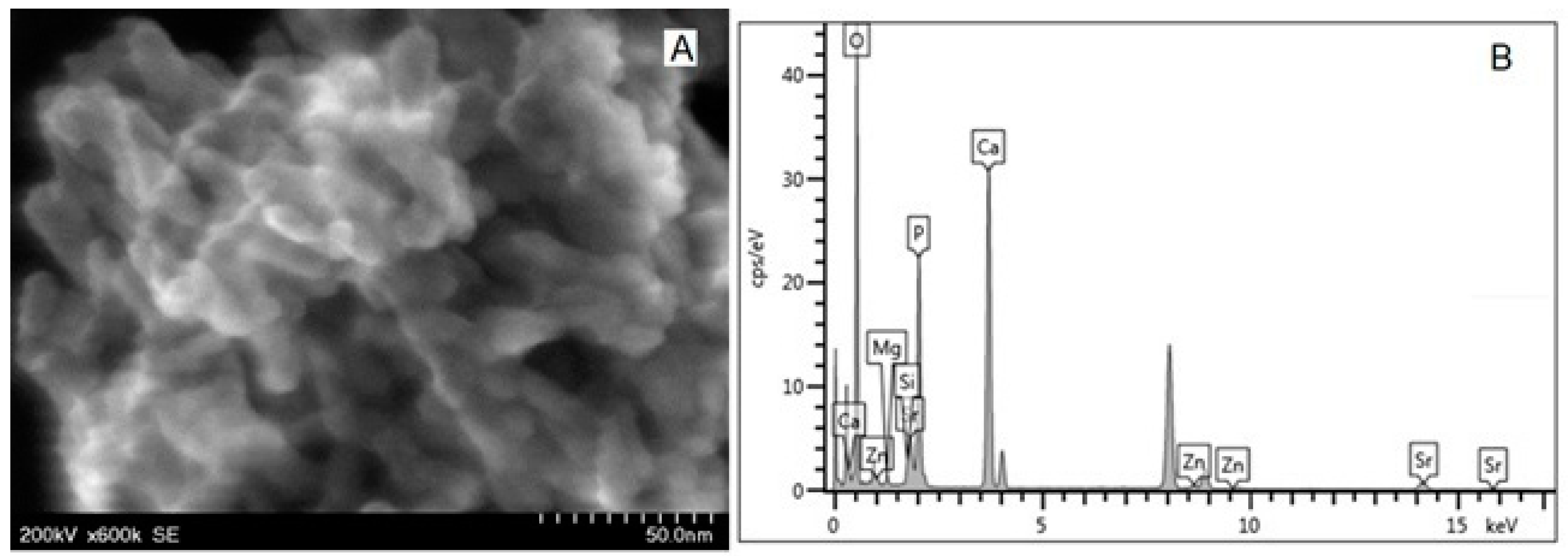 Biomimetics 08 00450 g005