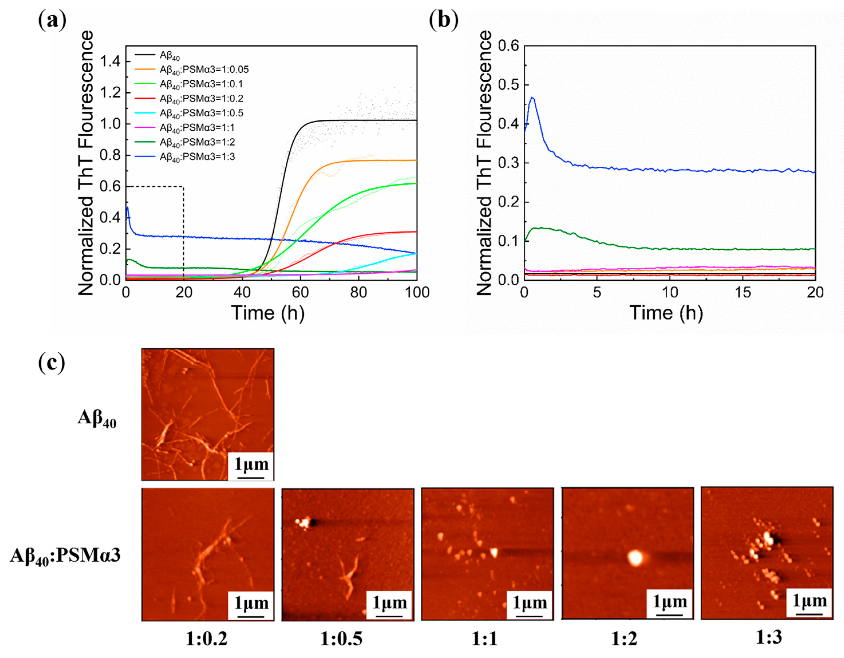 Biomimetics 08 00459 g001