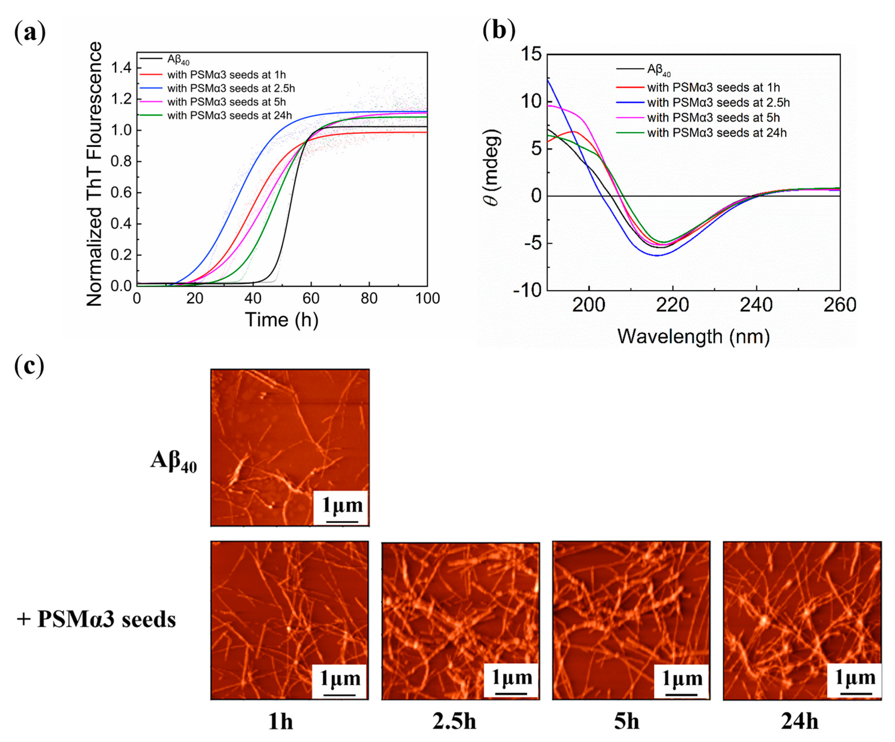 Biomimetics 08 00459 g002