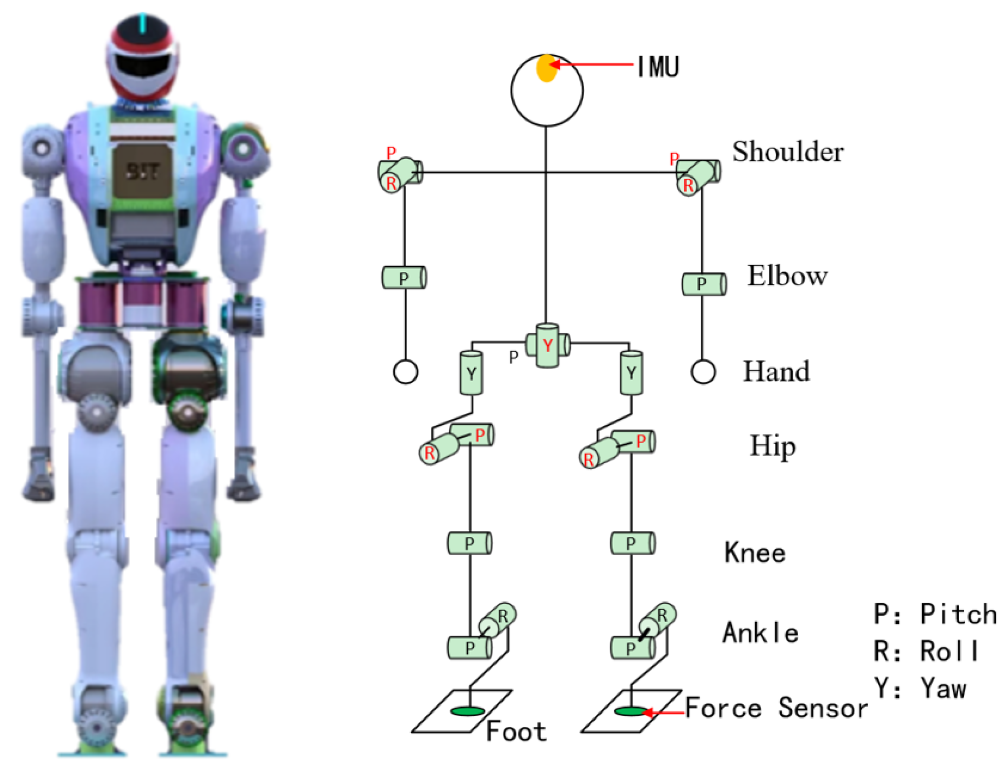 Biomimetics 08 00460 g005