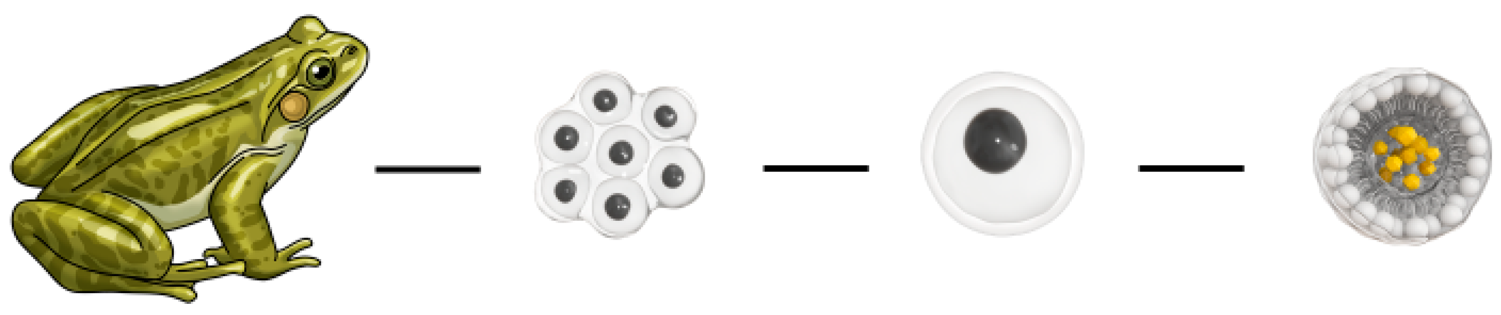 Biomimetics 08 00461 g006