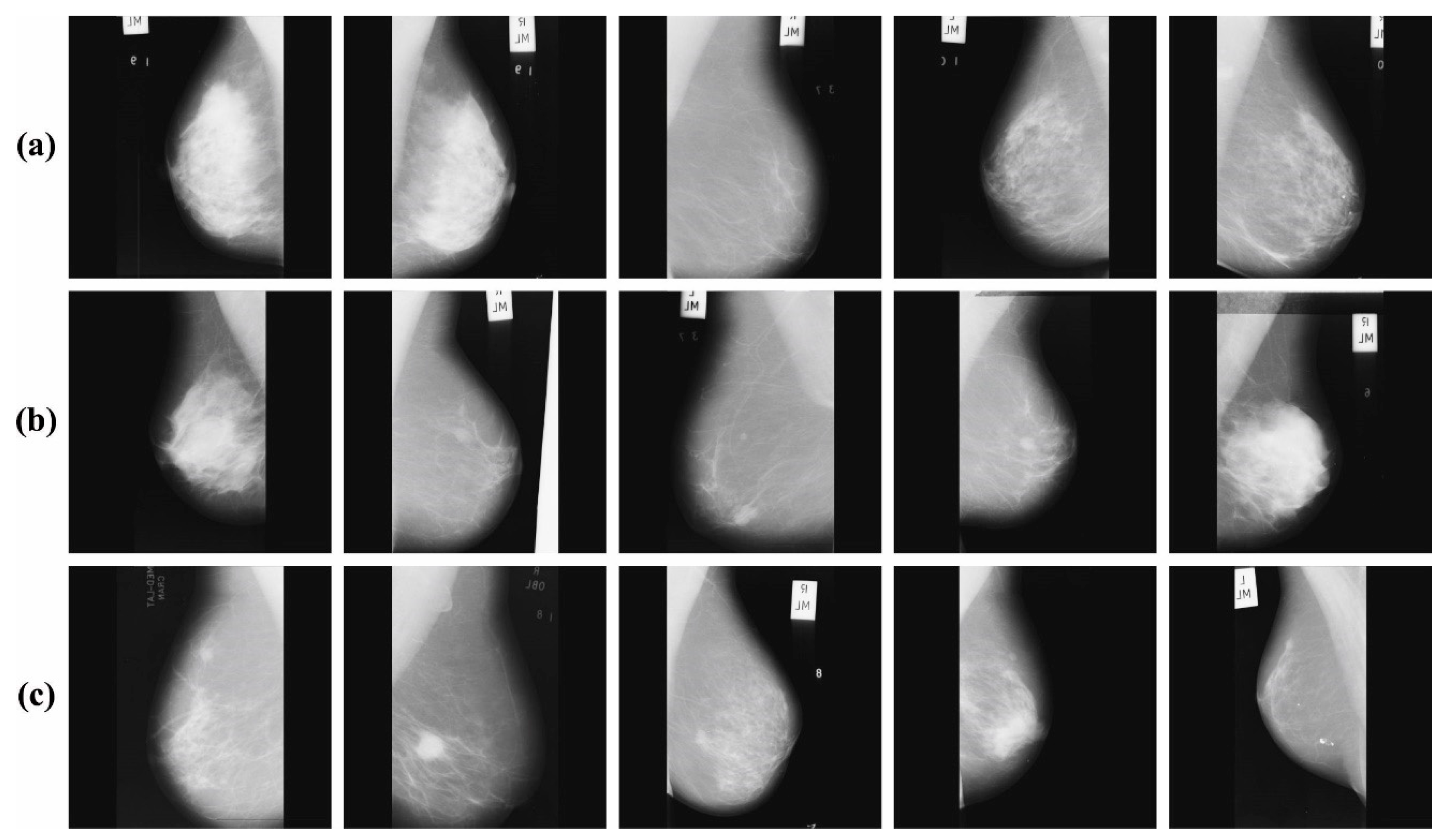 Biomimetics 08 00463 g003