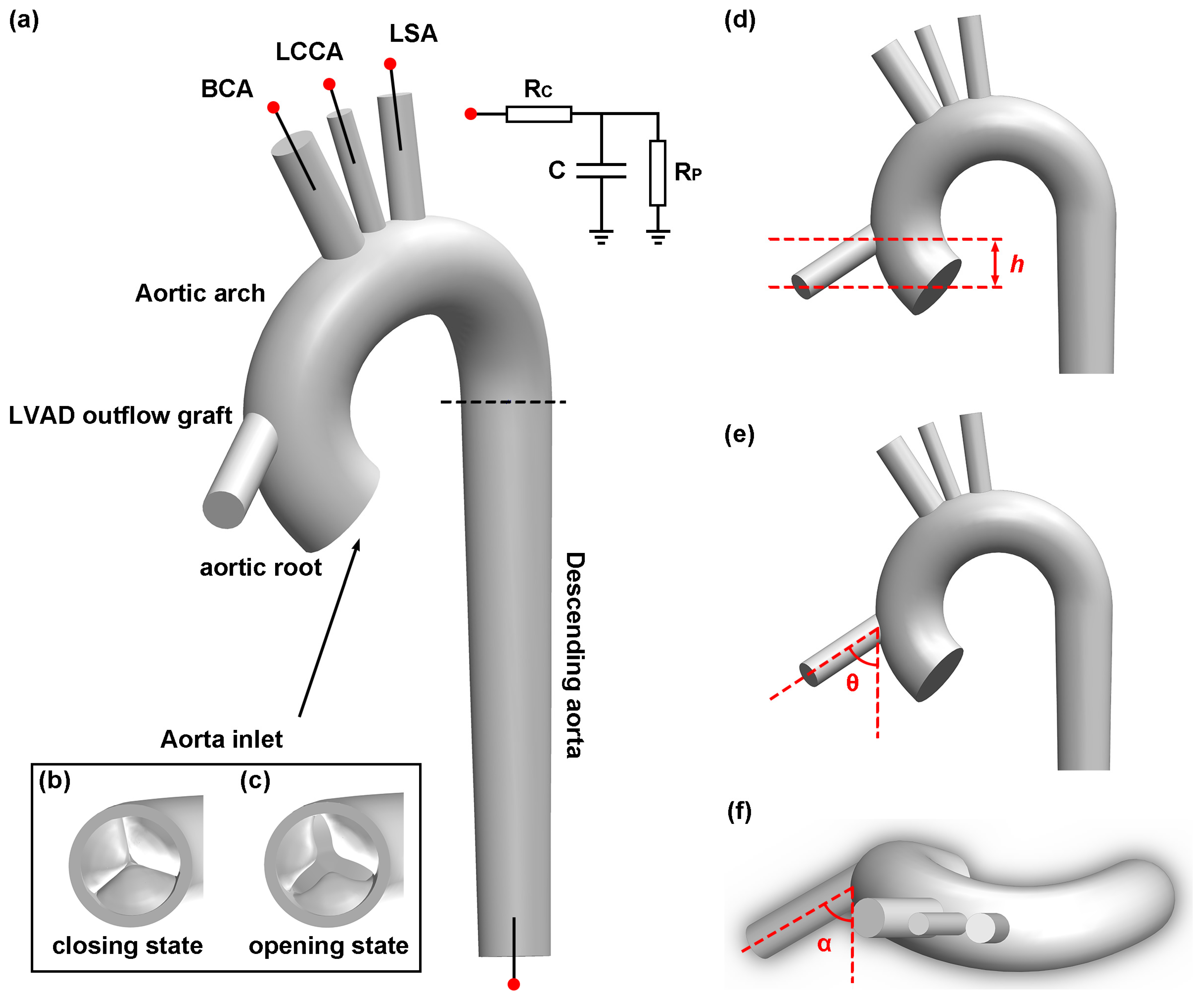 Biomimetics 08 00465 g002