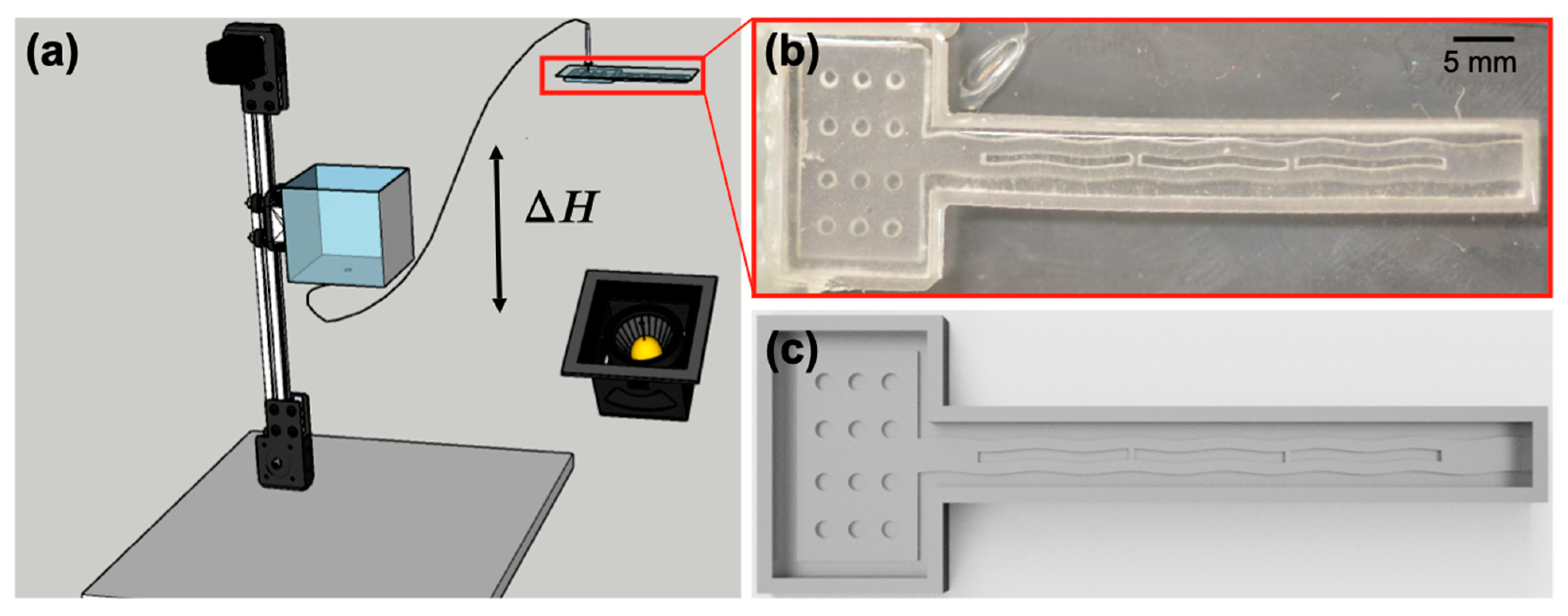 Biomimetics 08 00466 g002