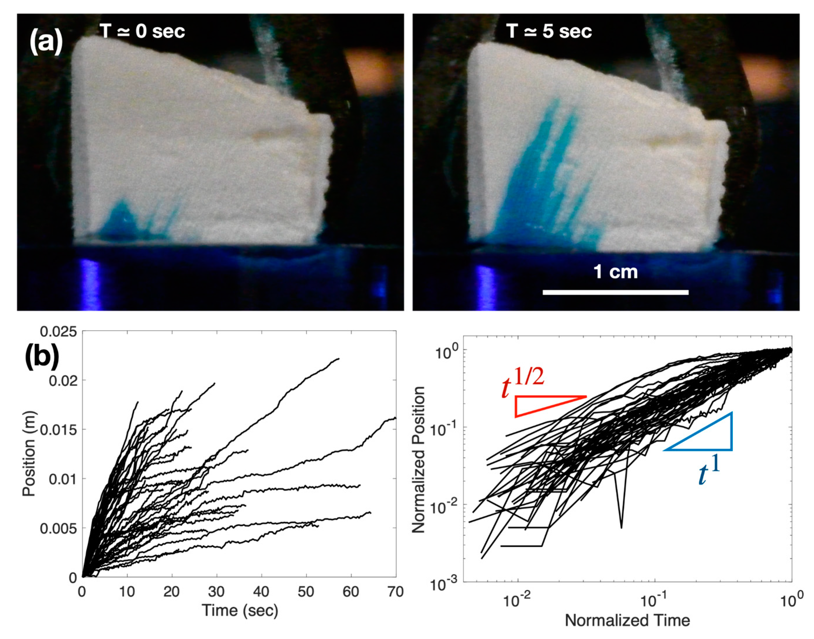 Biomimetics 08 00466 g003