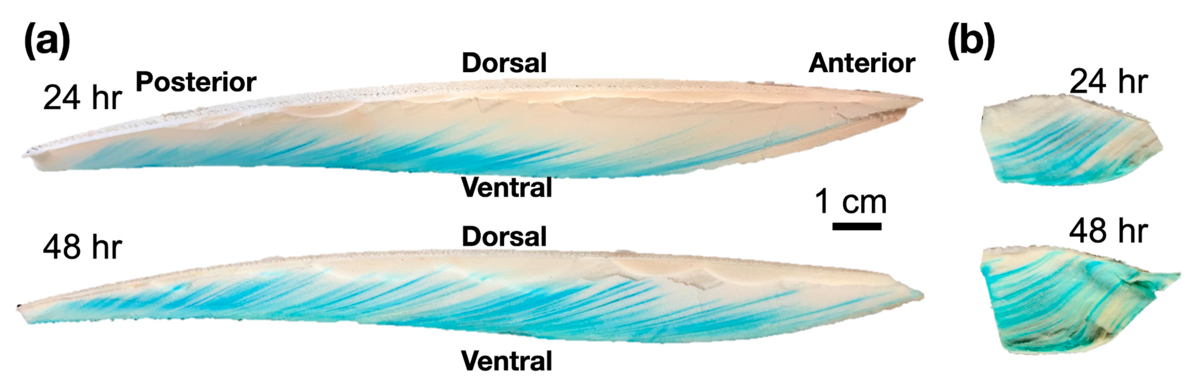 Biomimetics 08 00466 g004